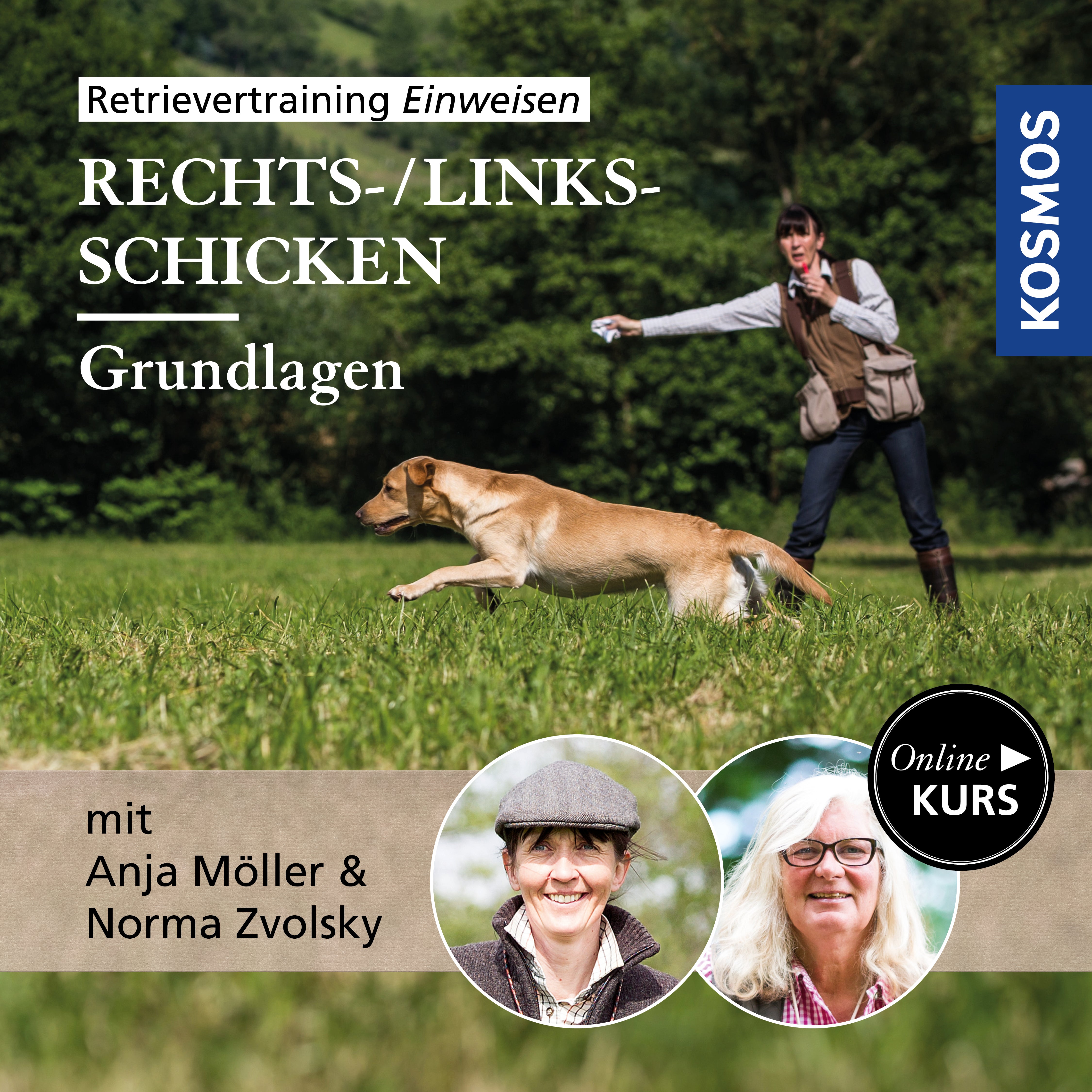 Retrievertraining Einweisen – Grundlagen Rechts-/Links-Schicken