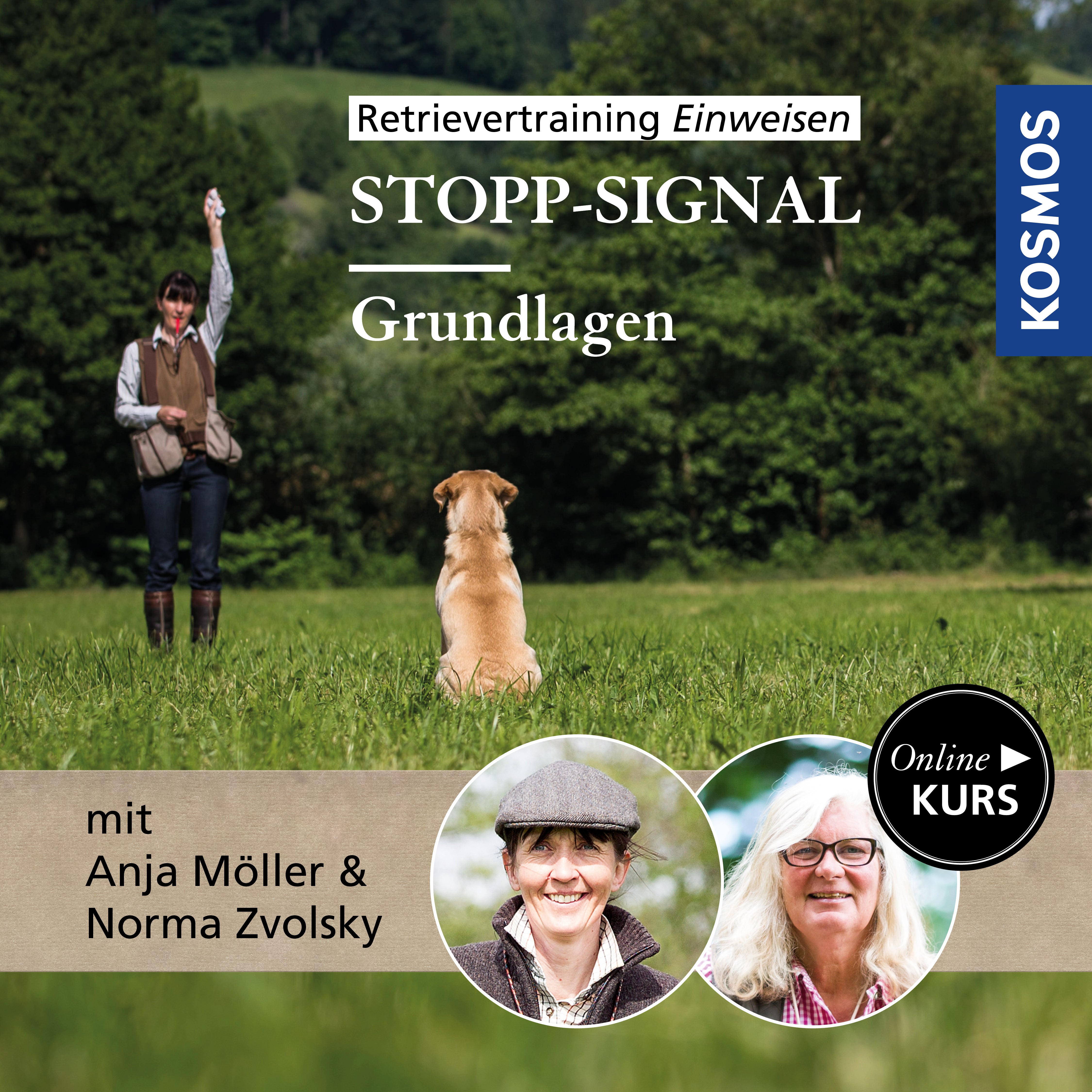 Retrievertraining Einweisen – Grundlagen Stopp-Signal