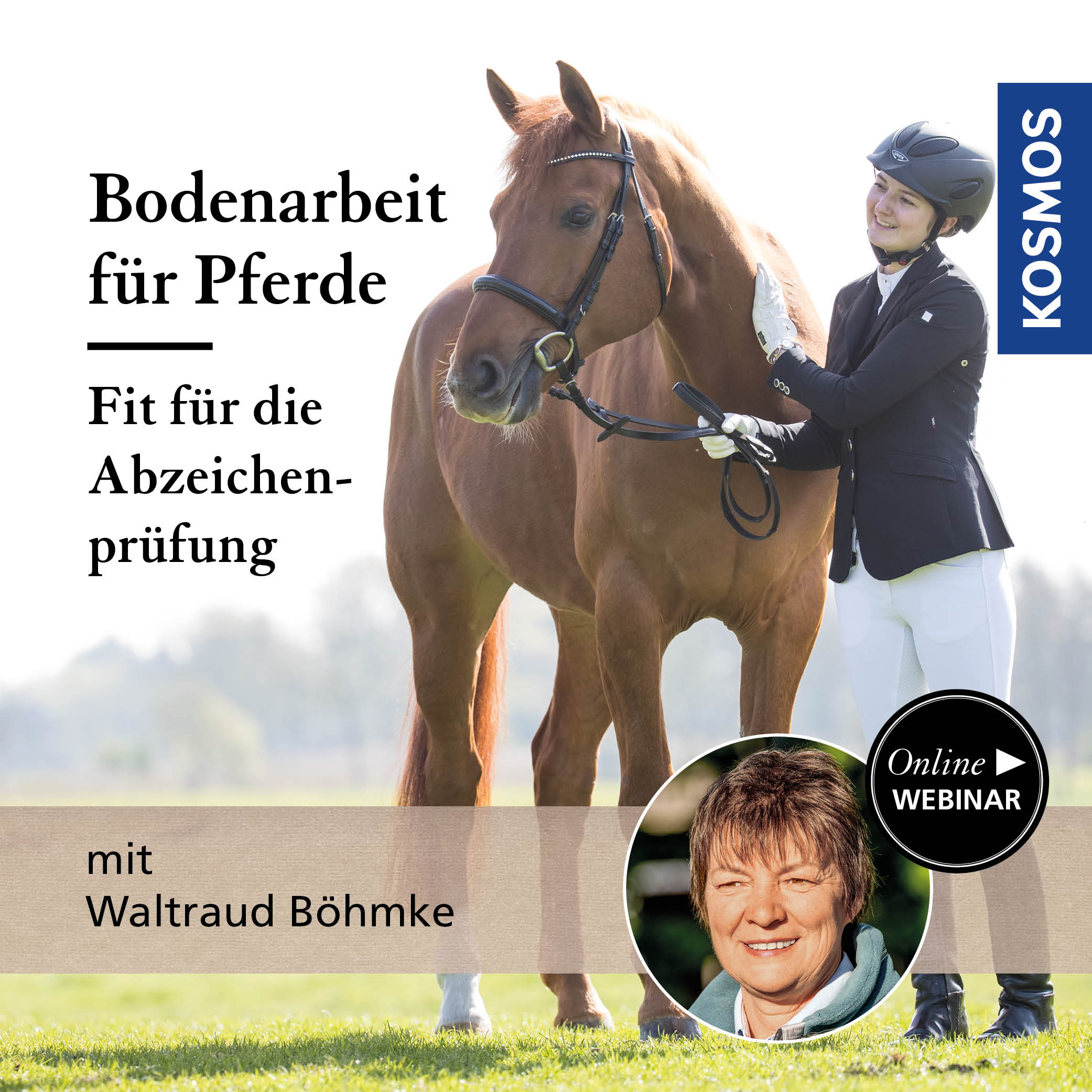 Bodenarbeit für Pferde – fit für die Abzeichenprüfung