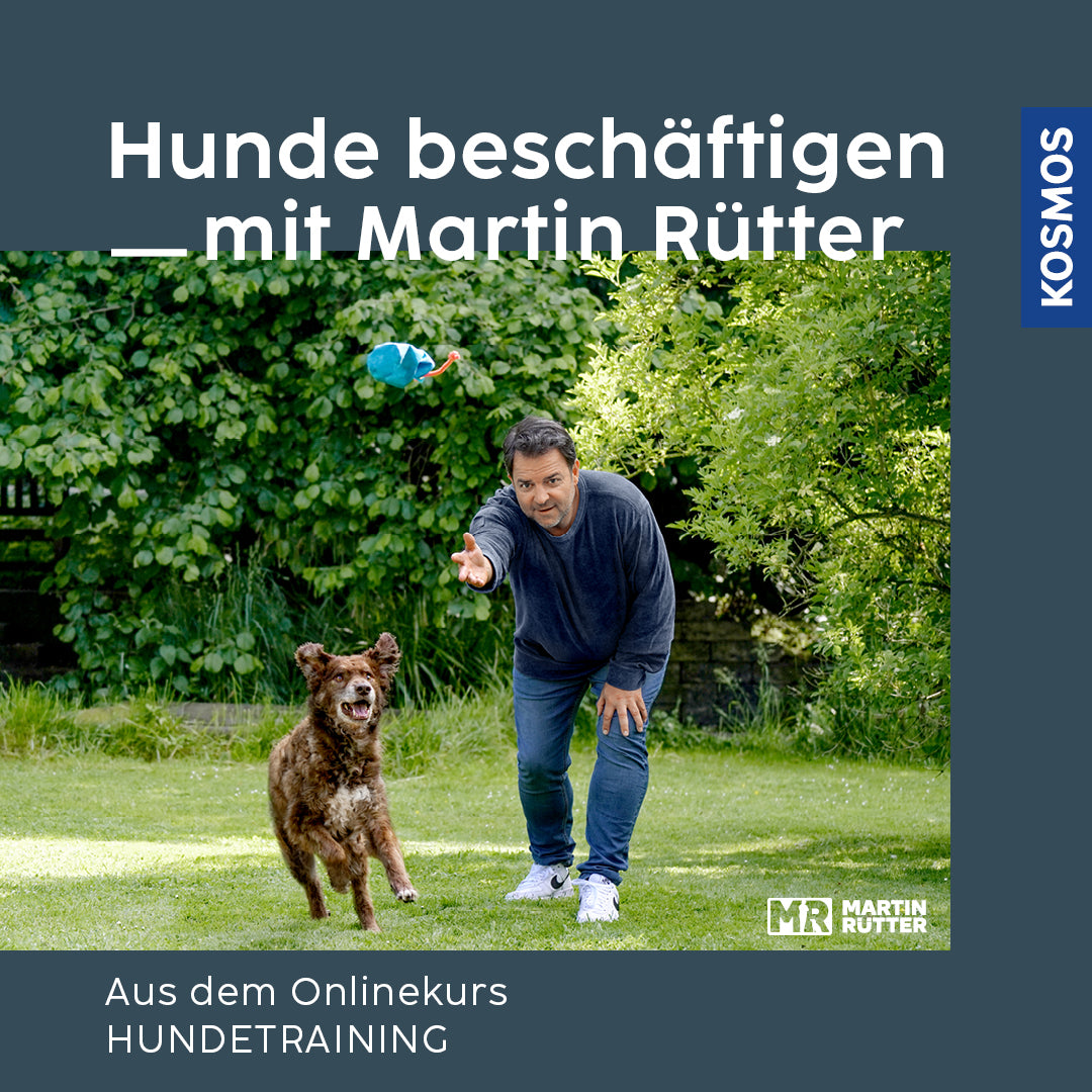 Hunde beschäftigen mit Martin Rütter