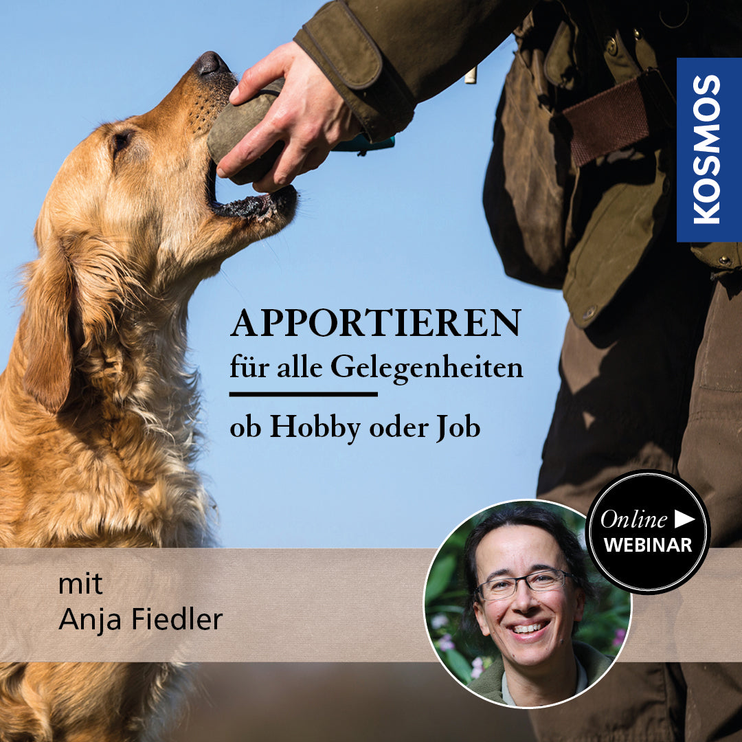 Apportieren für alle Gelegenheiten – ob Hobby oder Job