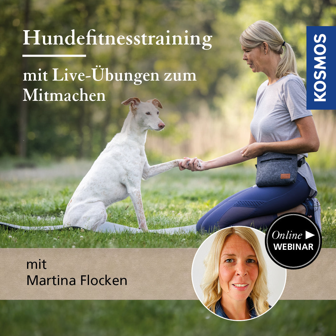Hundefitnesstraining – Mit Live-Übungen zum Mitmachen