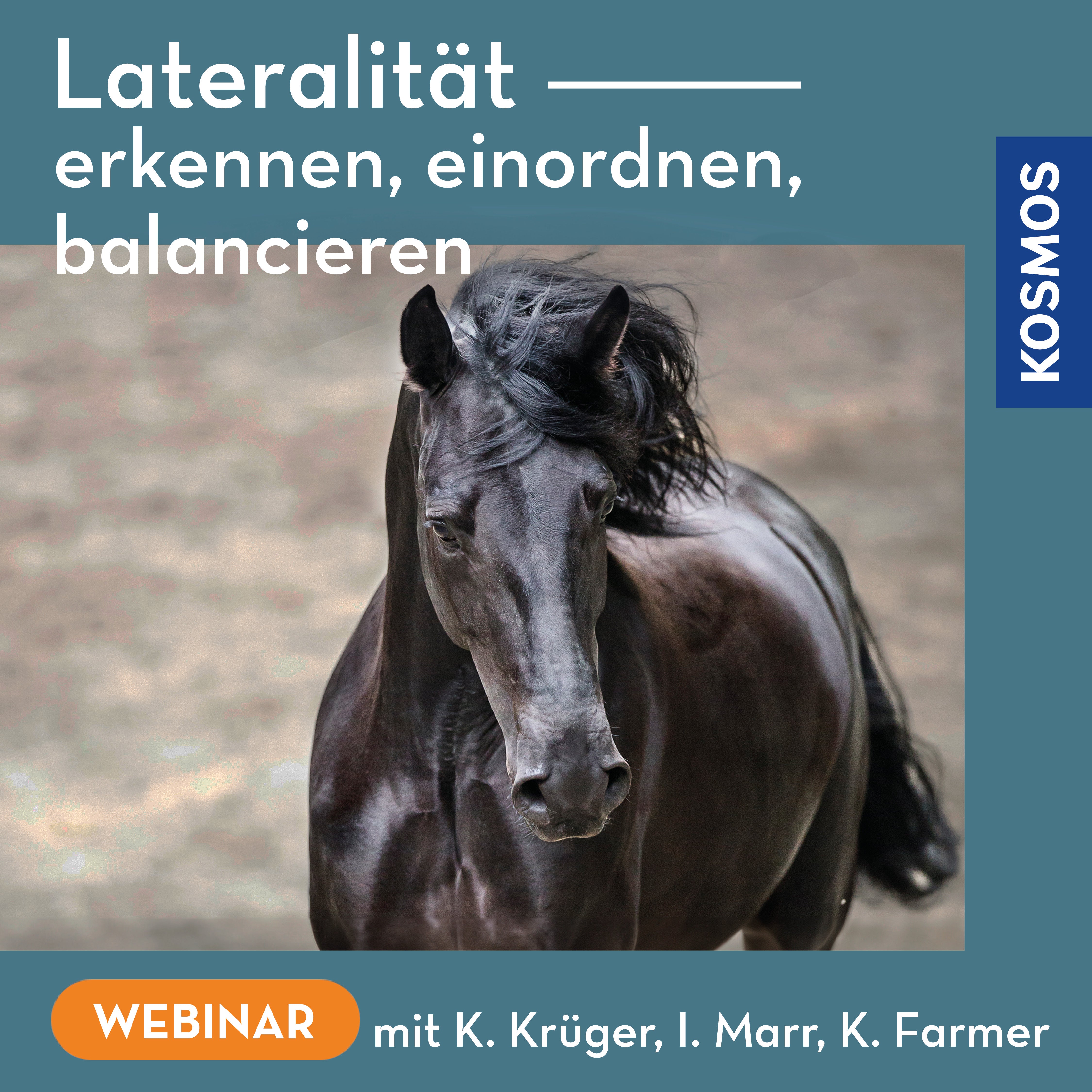 Lateralität – erkennen, einordnen, balancieren