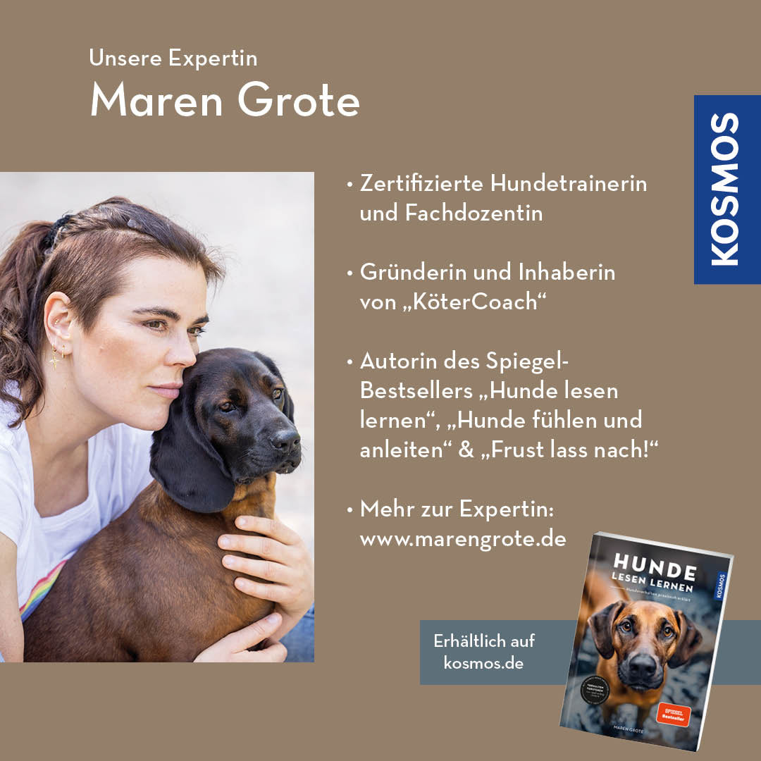 Hunde lesen lernen – Körpersprache beim Hund deuten