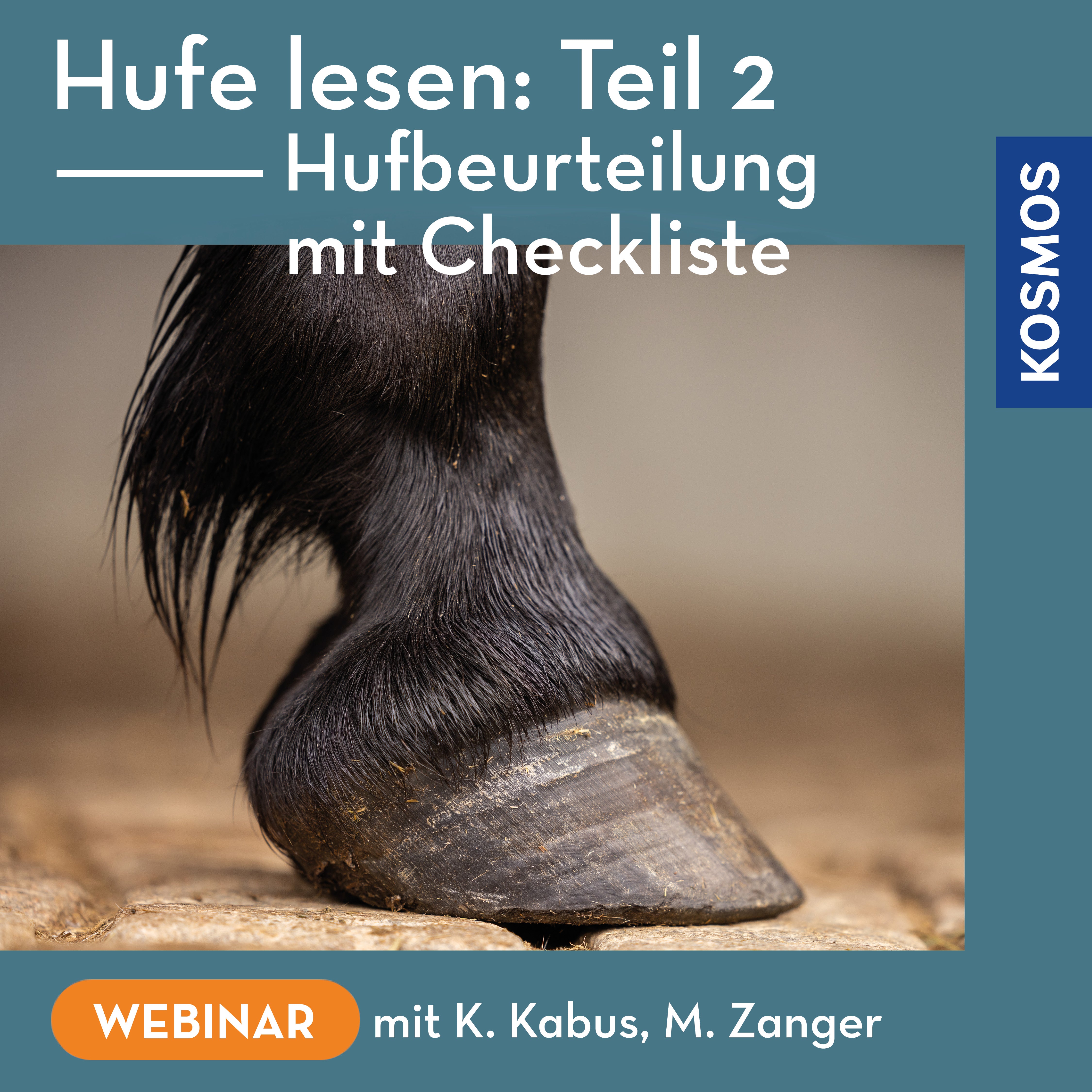 Hufe lesen: Teil 2 – Hufbeurteilung mit Checkliste