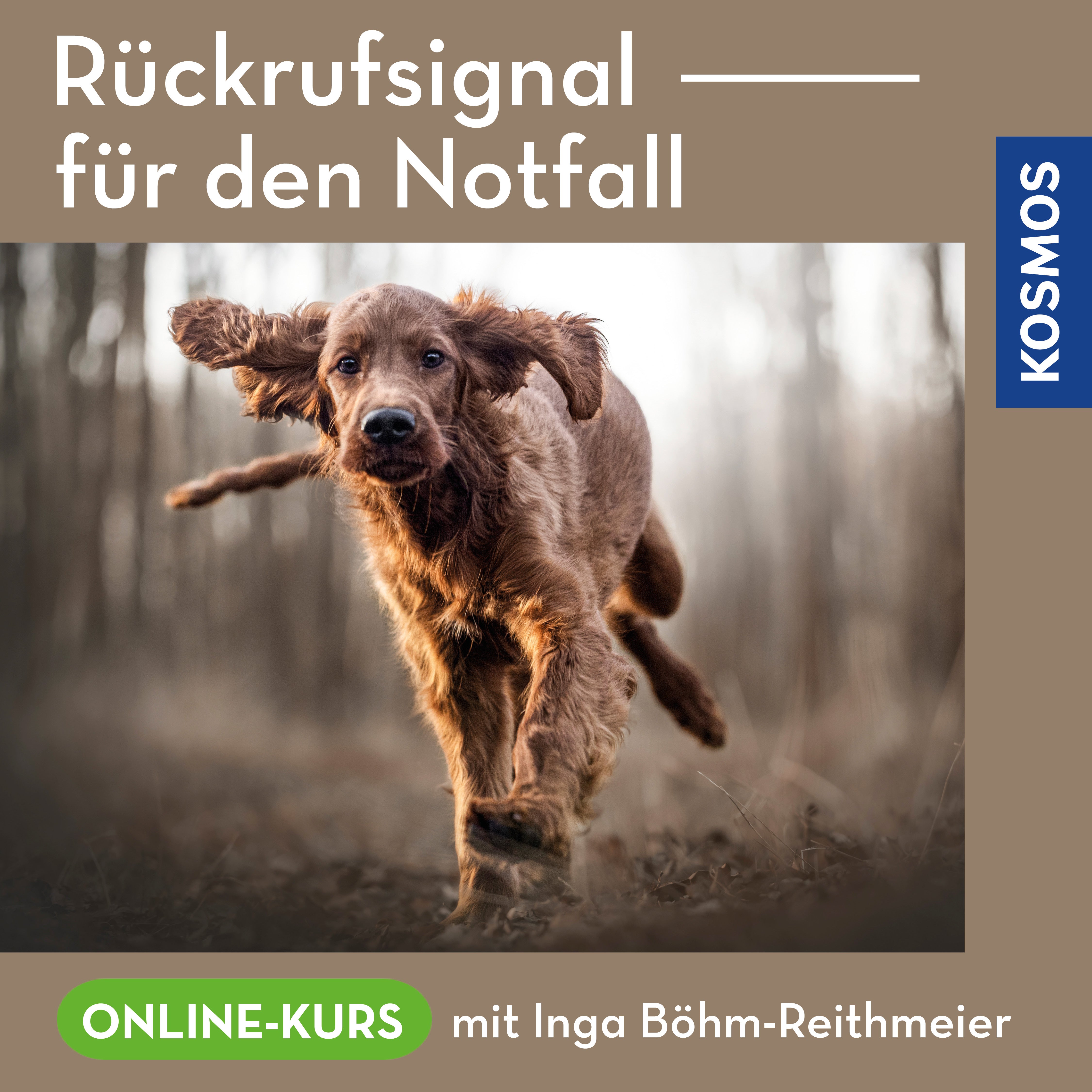Rückrufsignale für den Notfall