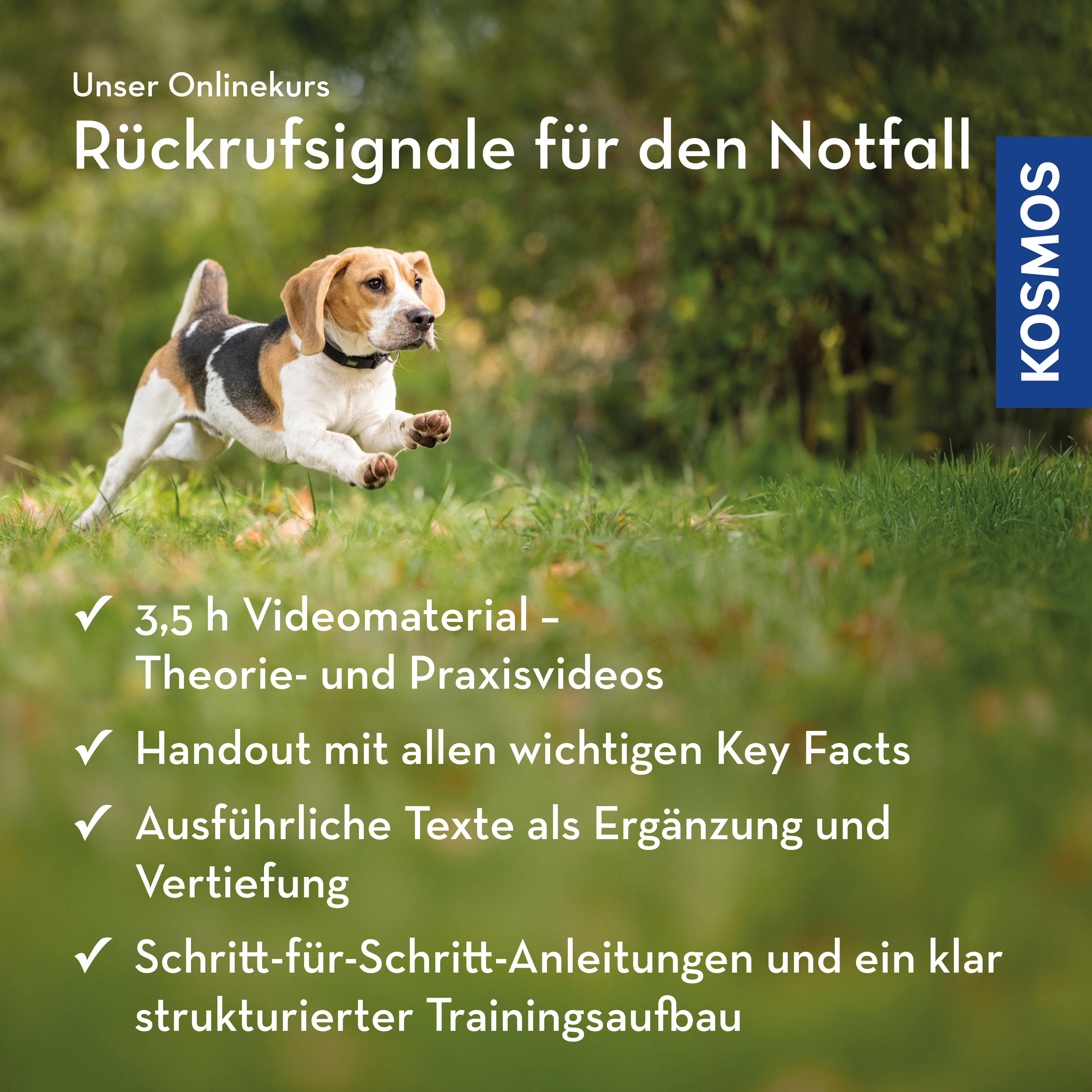 Rückrufsignale für den Notfall