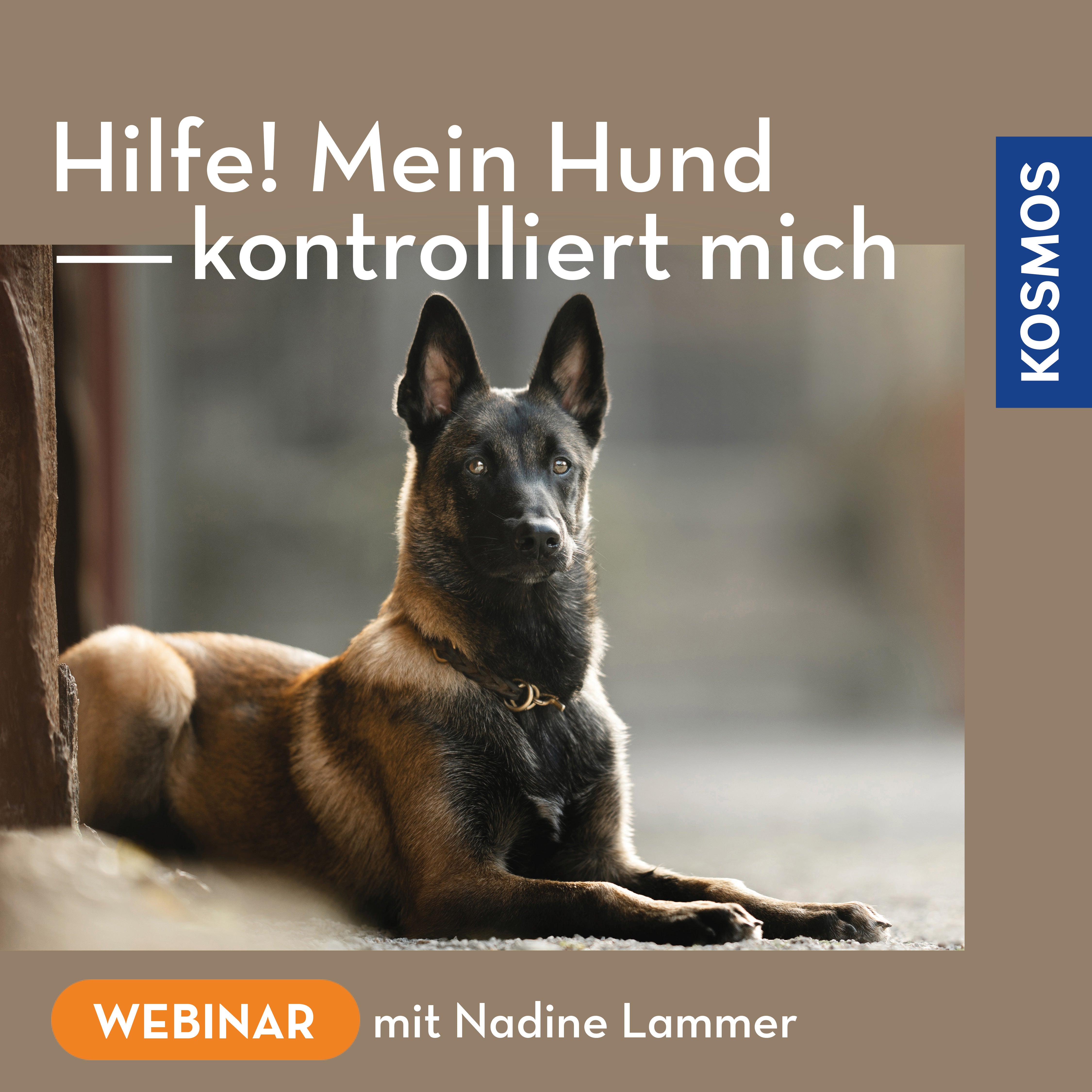 Help! My dog controls me