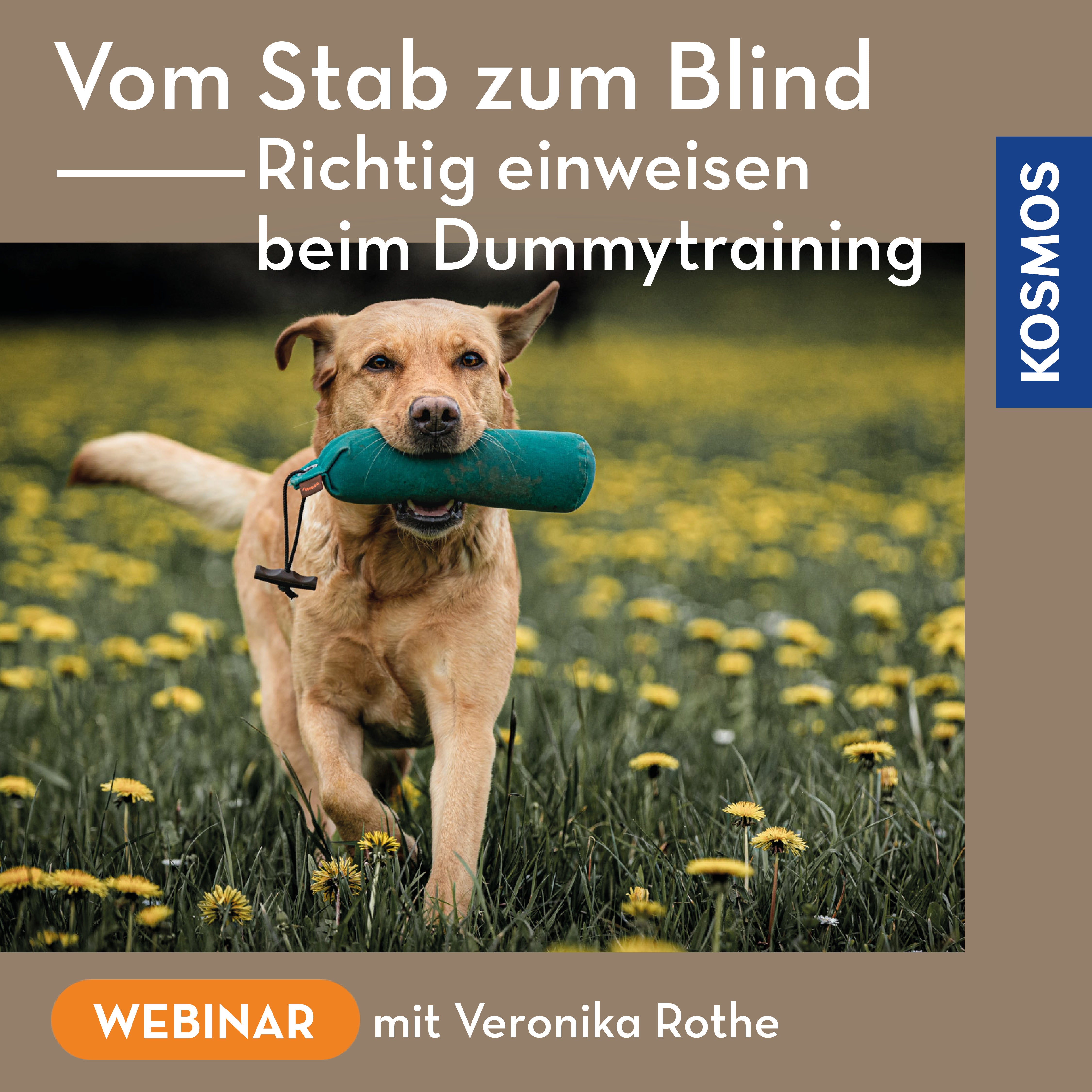 Vom Stab zum Blind – Richtig einweisen beim Dummytraining