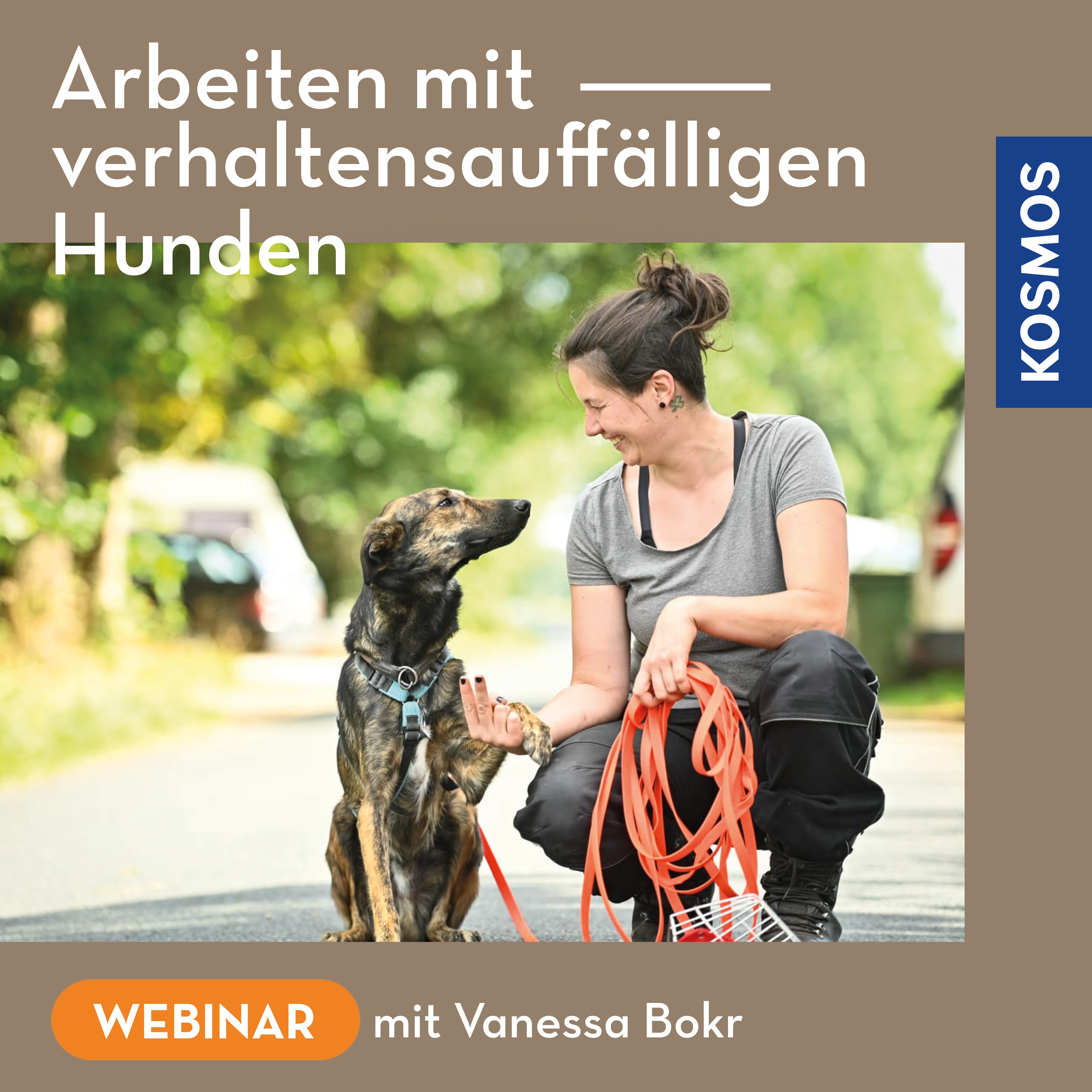 Arbeiten mit verhaltensauffälligen Hunden