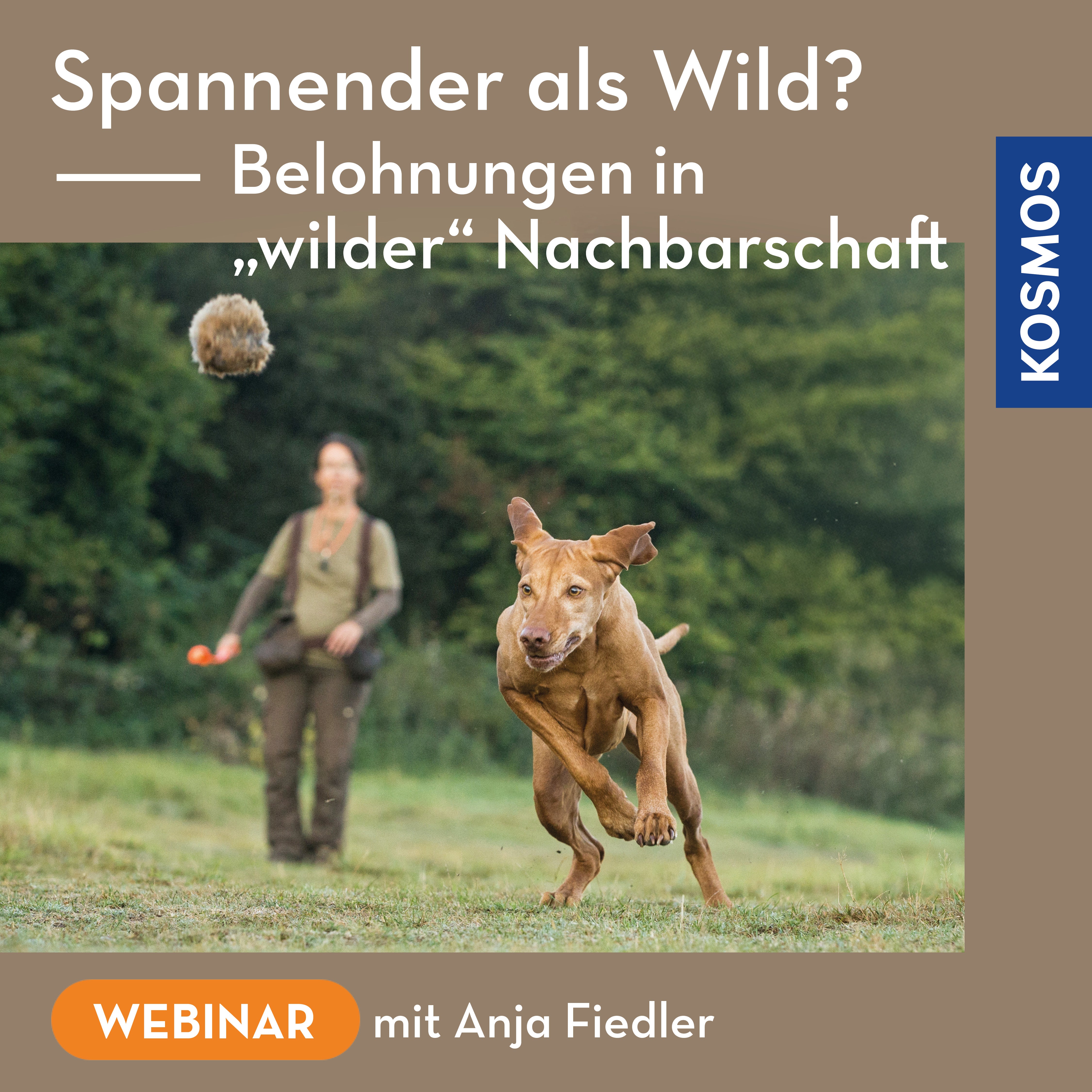 Spannender als Wild? – Belohnungen in wilder Nachbarschaft