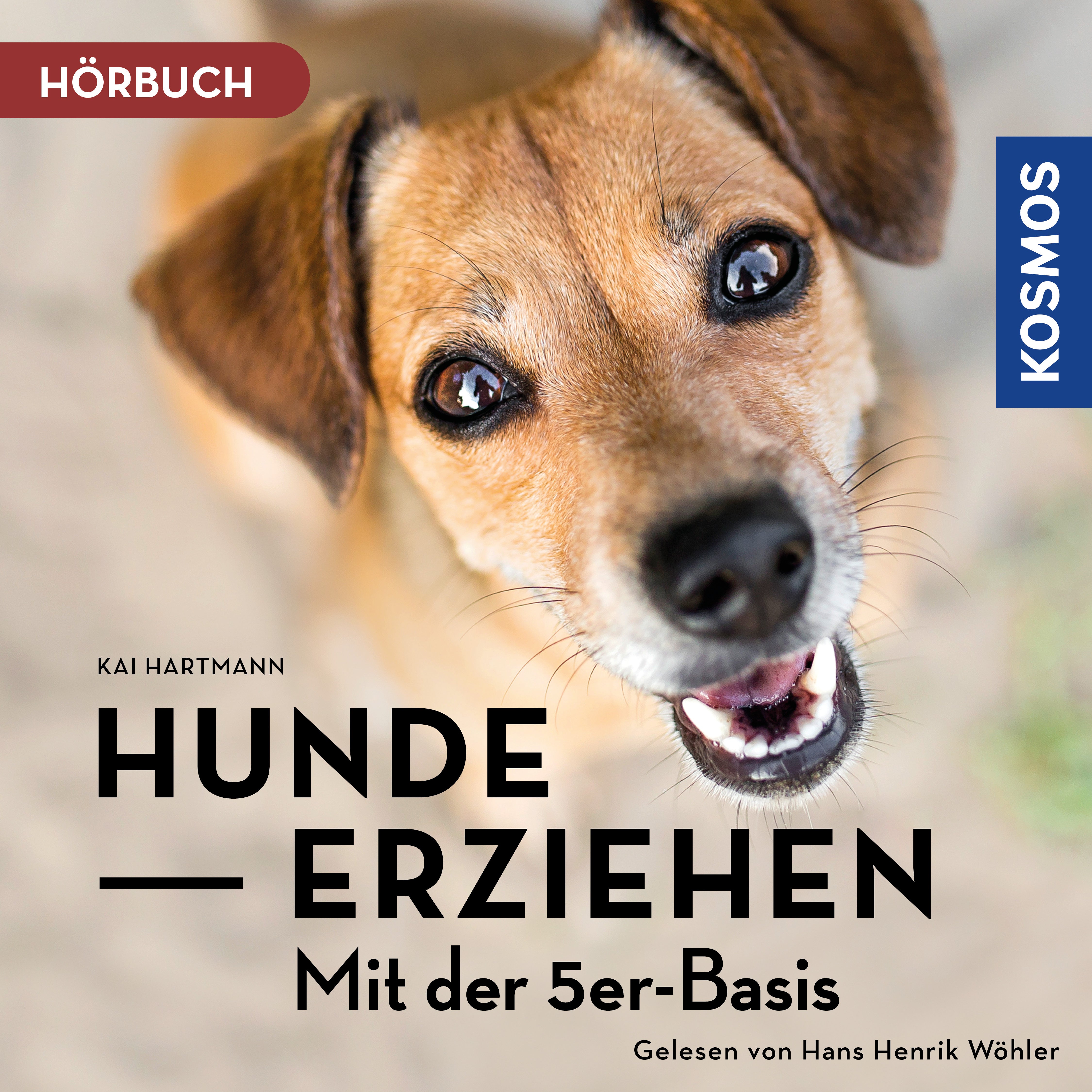 Hunde erziehen mit der 5er-Basis – klar kommunizieren, verlässlich führen, freudig erziehen
