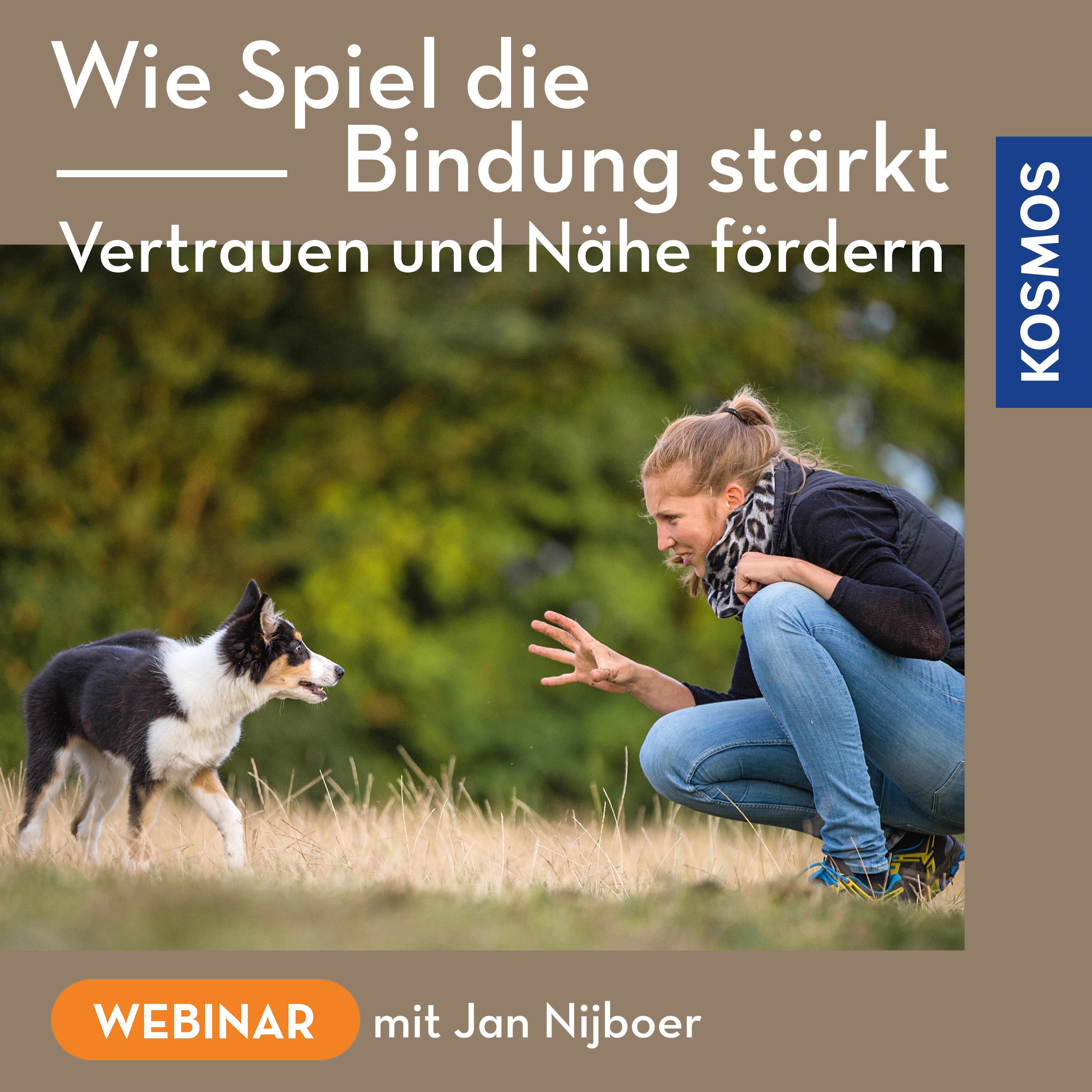 Wie Spiel die Bindung stärkt – Vertrauen und Nähe fördern