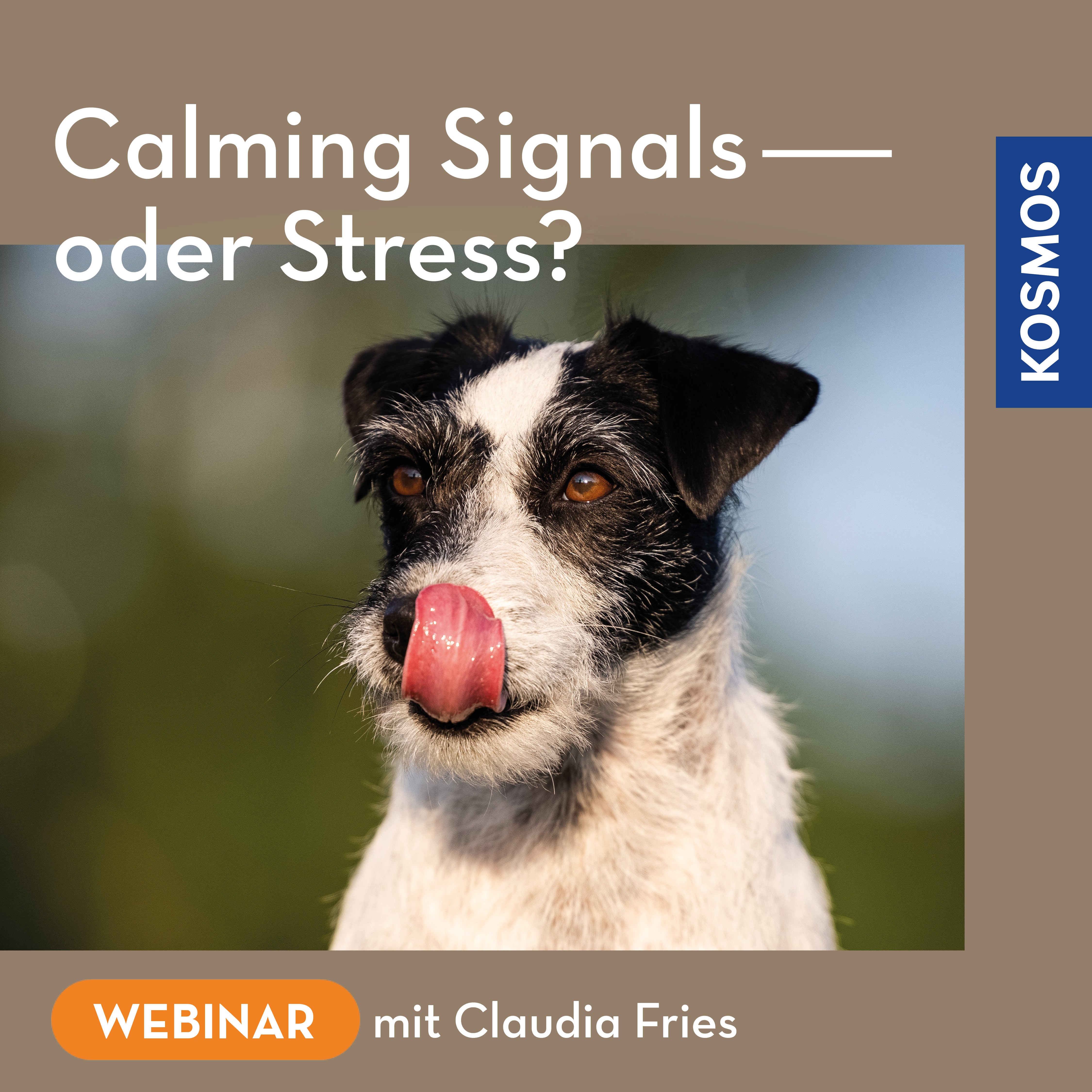 Calming Signals oder Stress?