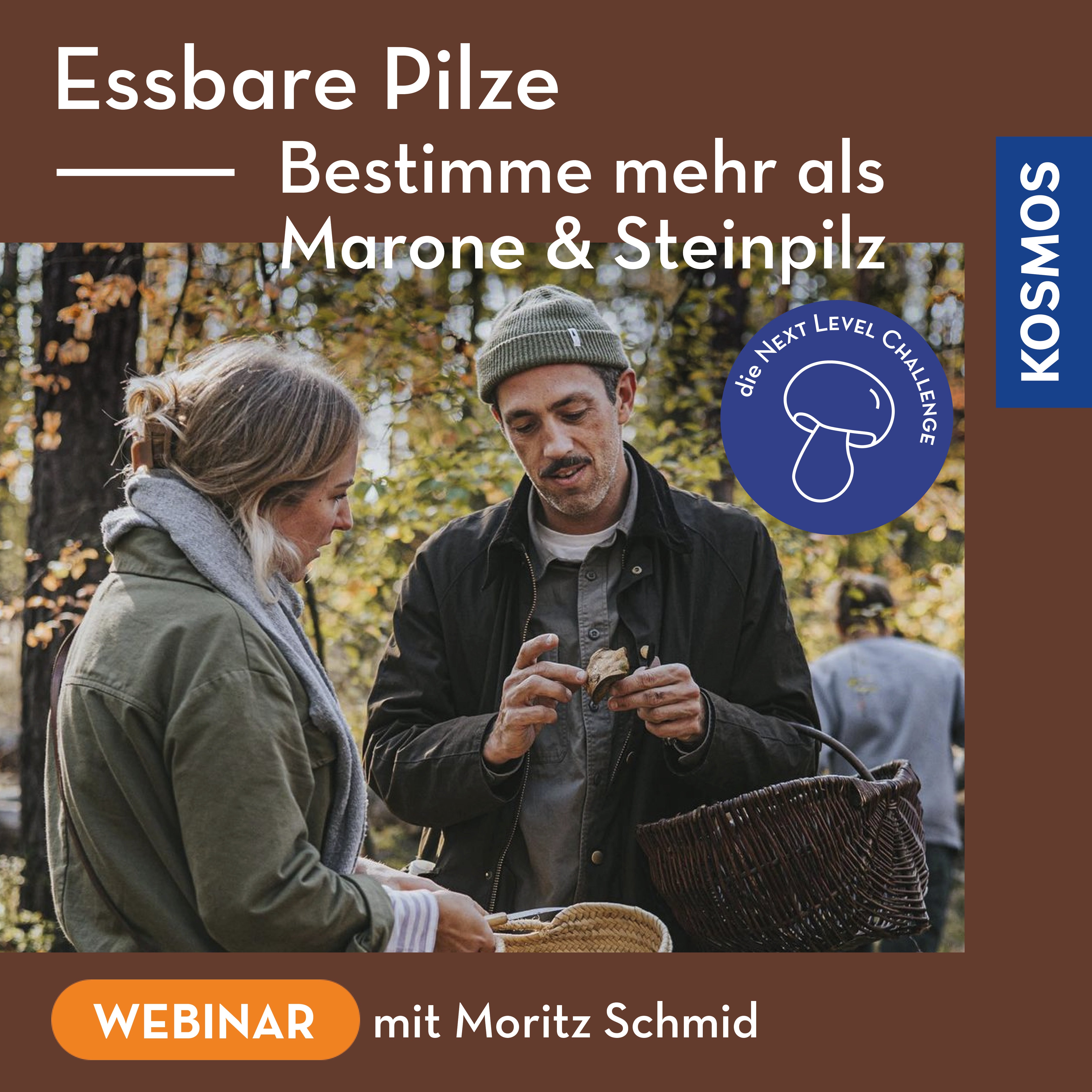 Essbare Pilze – Bestimme mehr als Marone und Steinpilz. Die NEXT LEVEL CHALLENGE