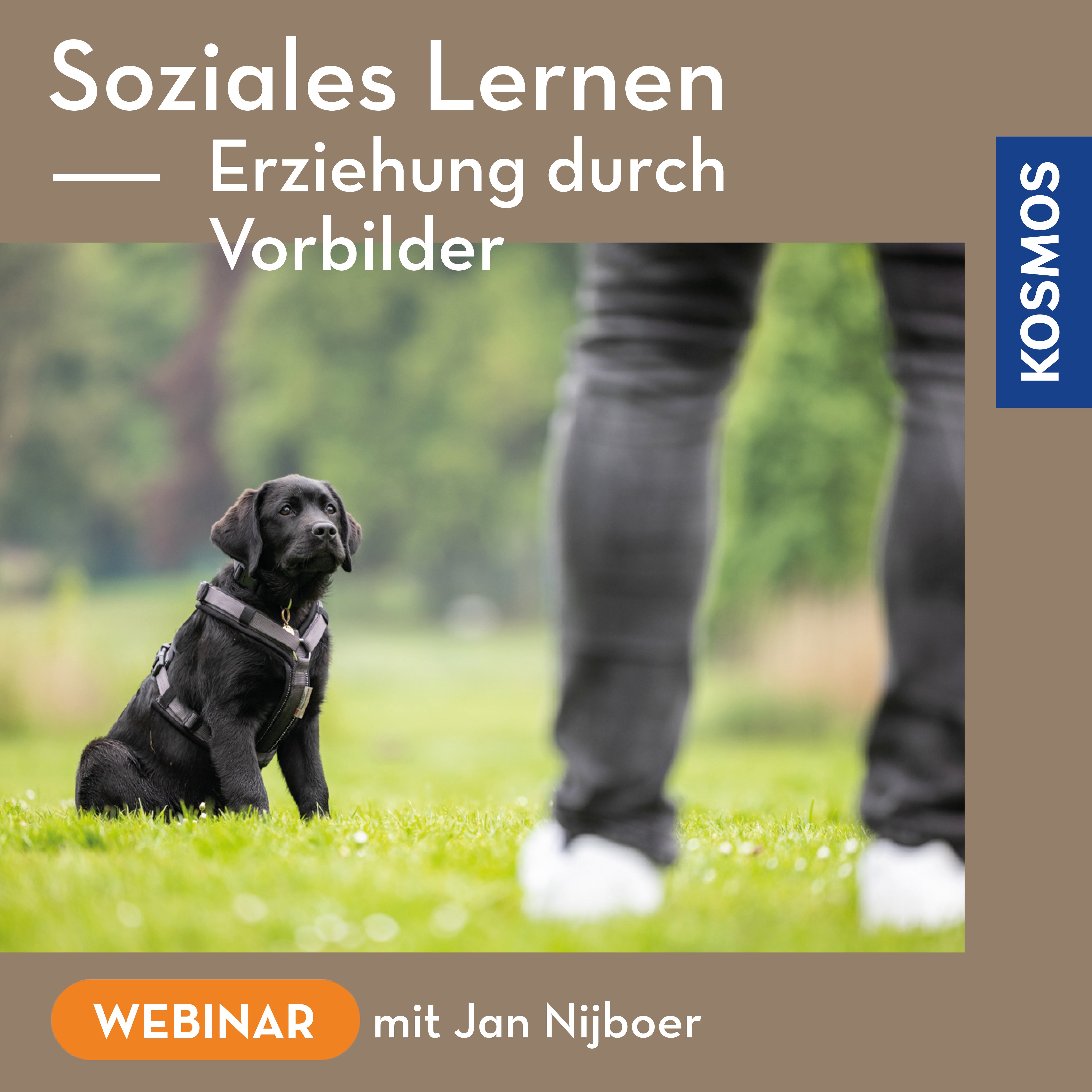 Soziales Lernen – Erziehung durch Vorbilder