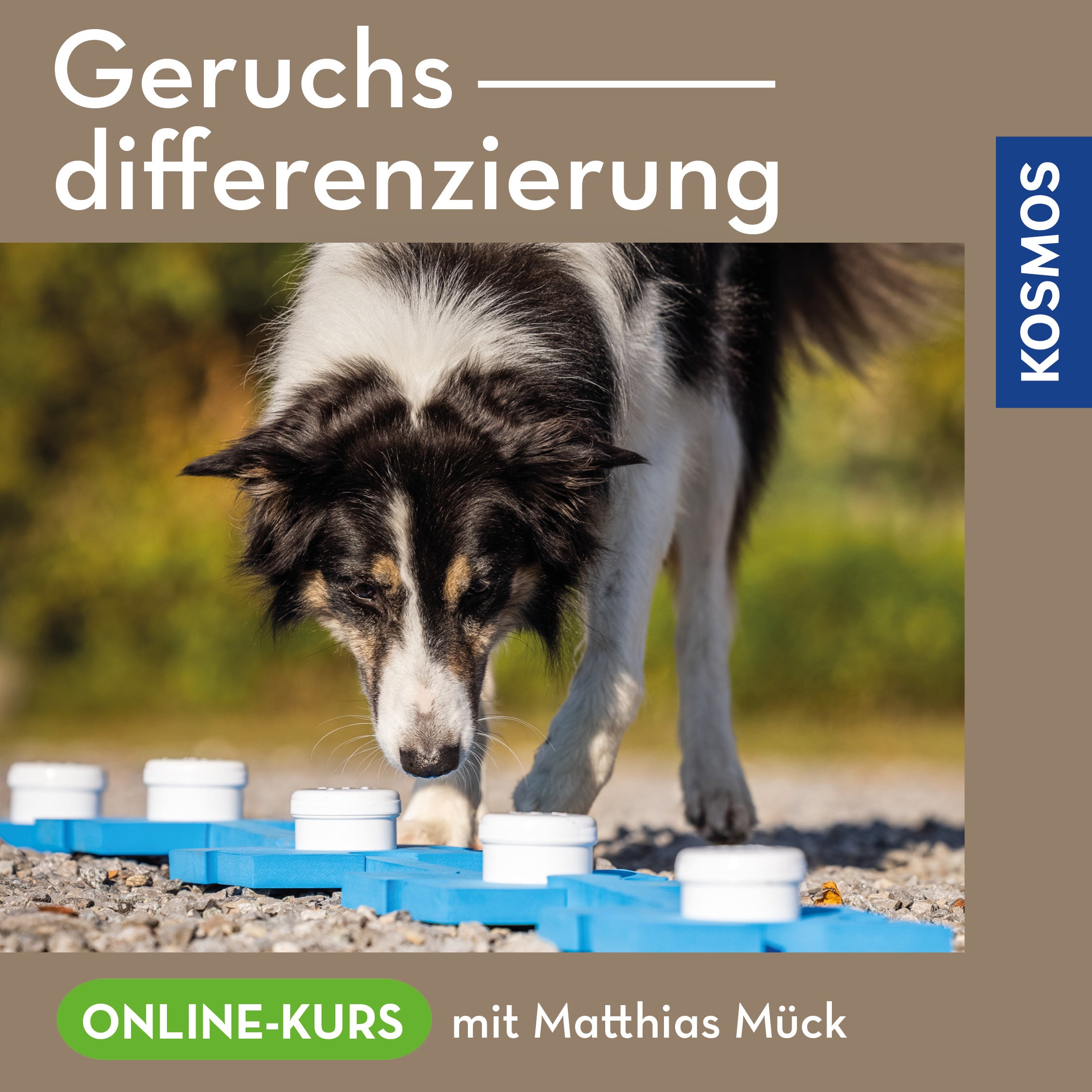 Geruchsdifferenzierung