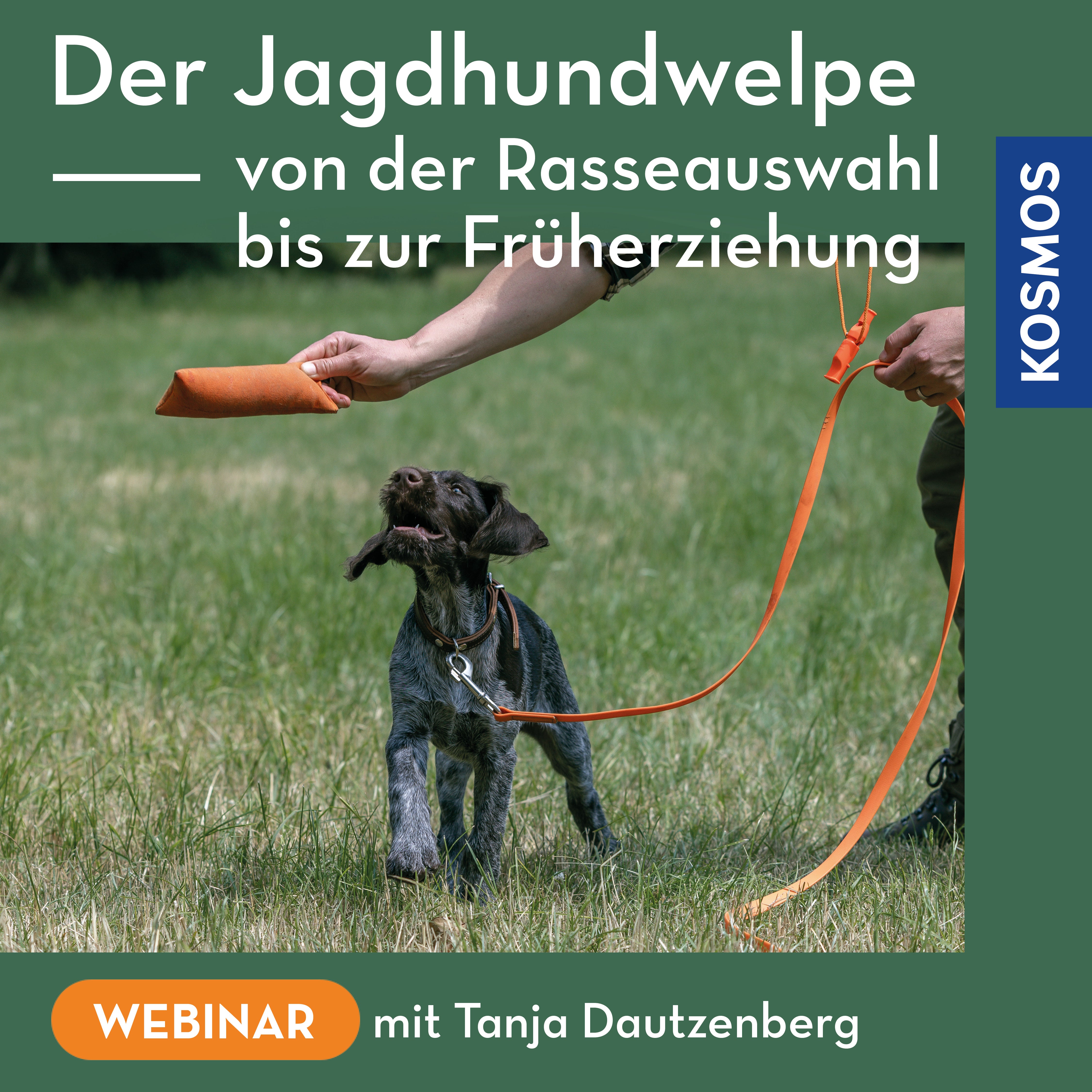 Der Jagdhundwelpe – Von der Rasseauswahl bis zur Früherziehung