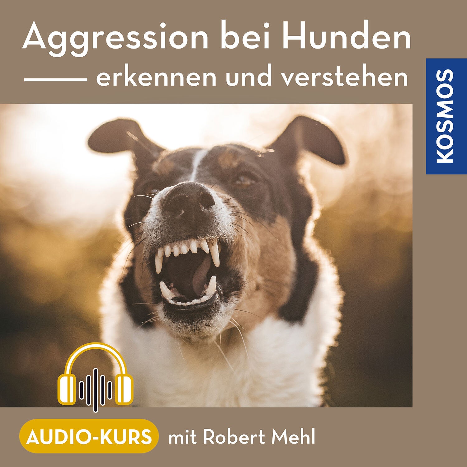 Aggression bei Hunden – erkennen und verstehen