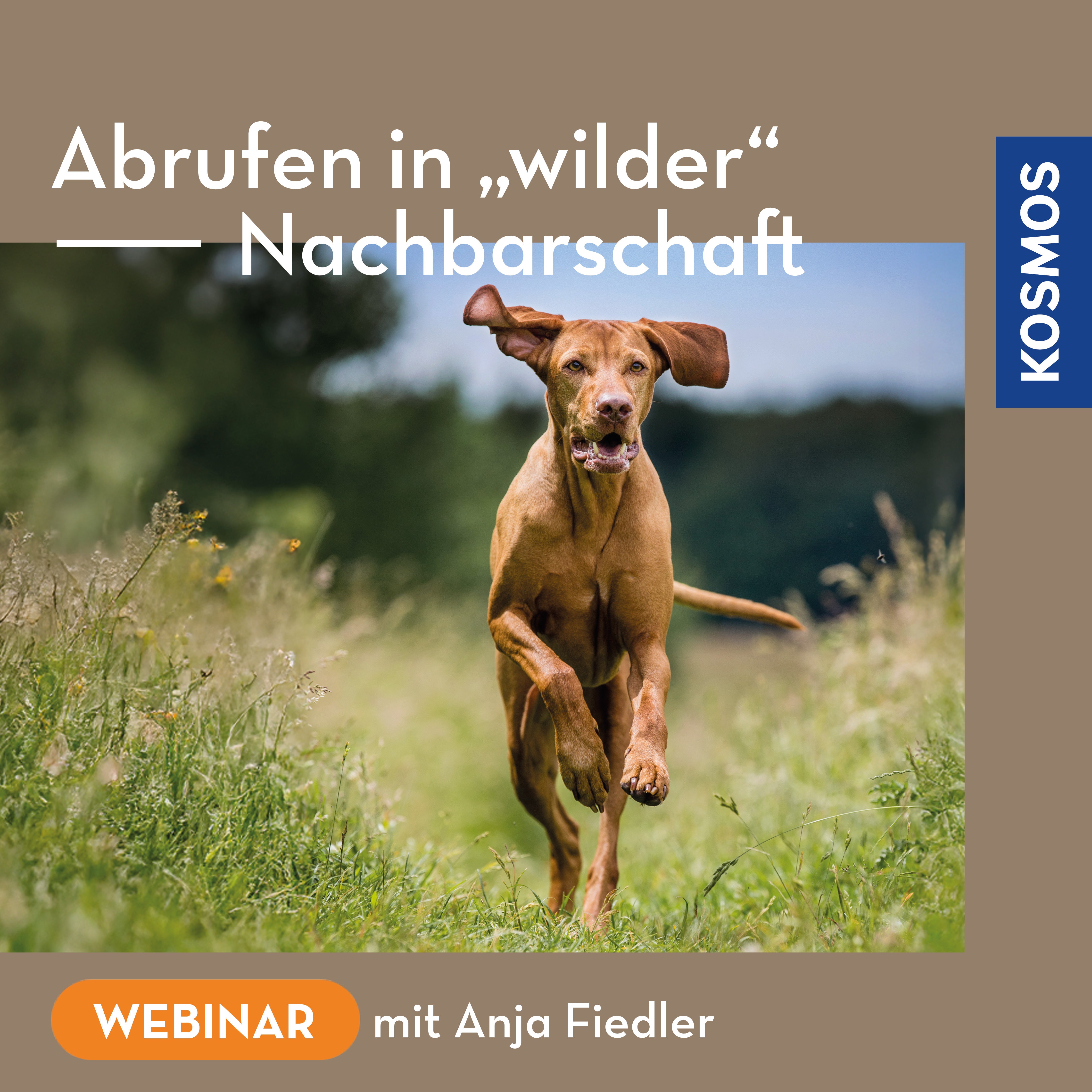 Abrufen in wilder Nachbarschaft