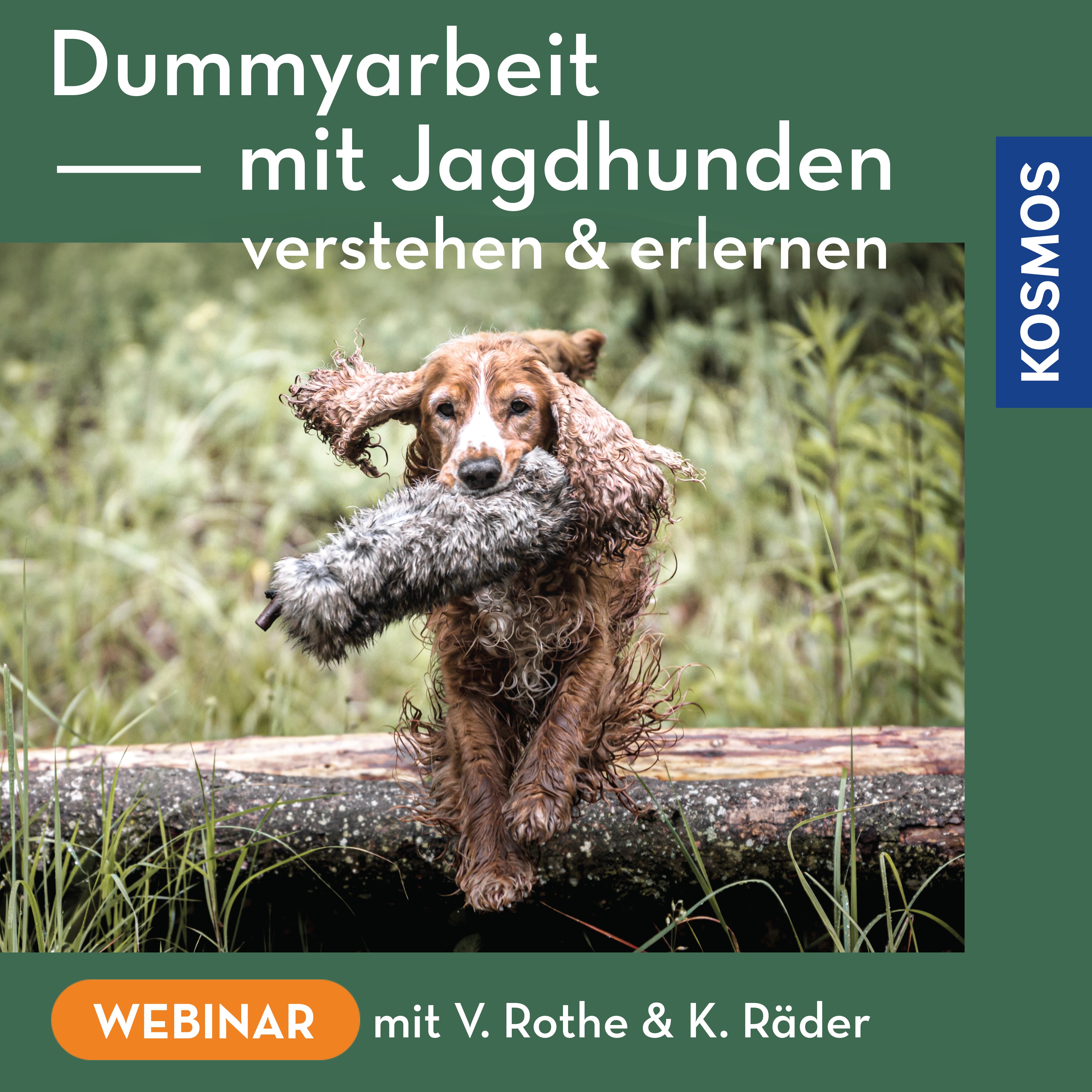 Dummyarbeit mit Jagdhunden