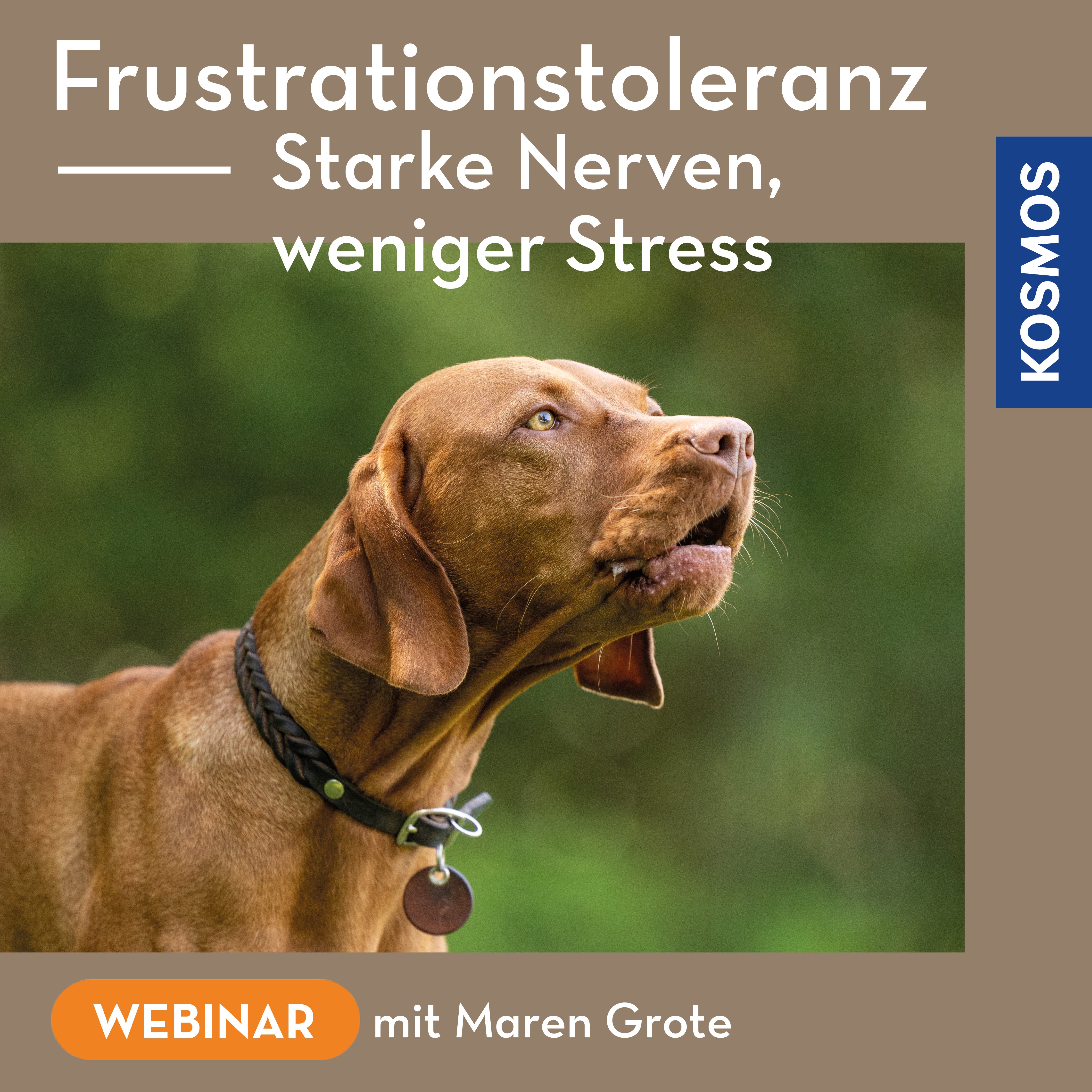 Frustrationstoleranz – starke Nerven, weniger Stress