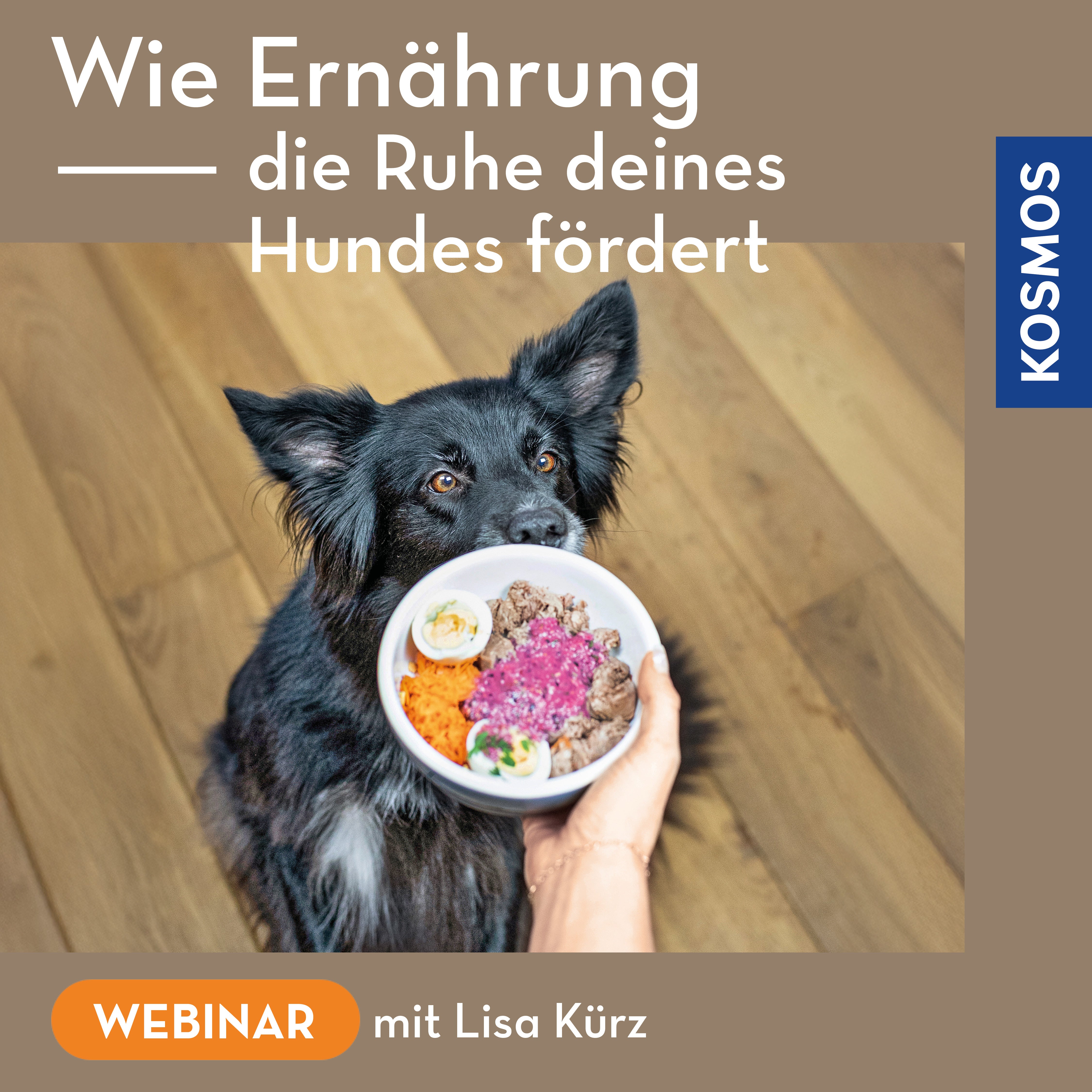 Wie Ernährung die Ruhe deines Hundes fördert