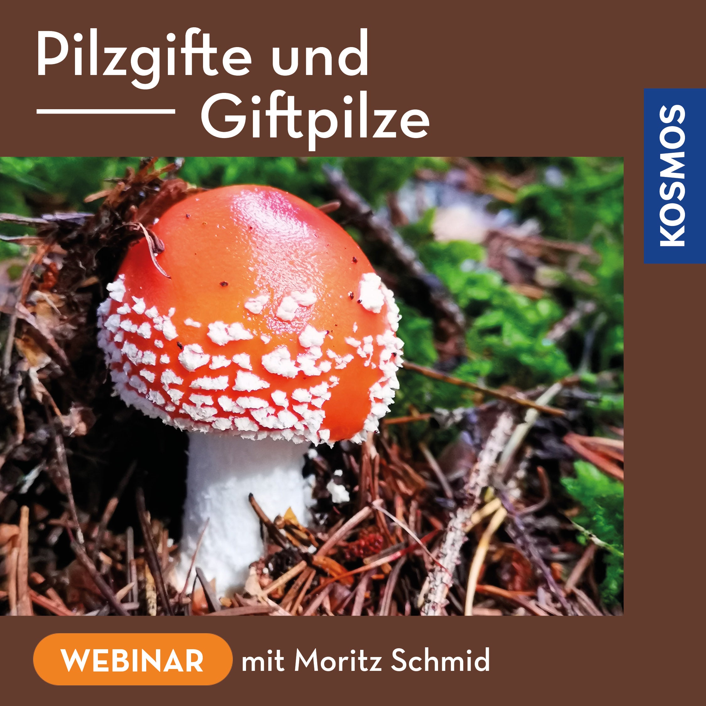 Pilzgifte und Giftpilze