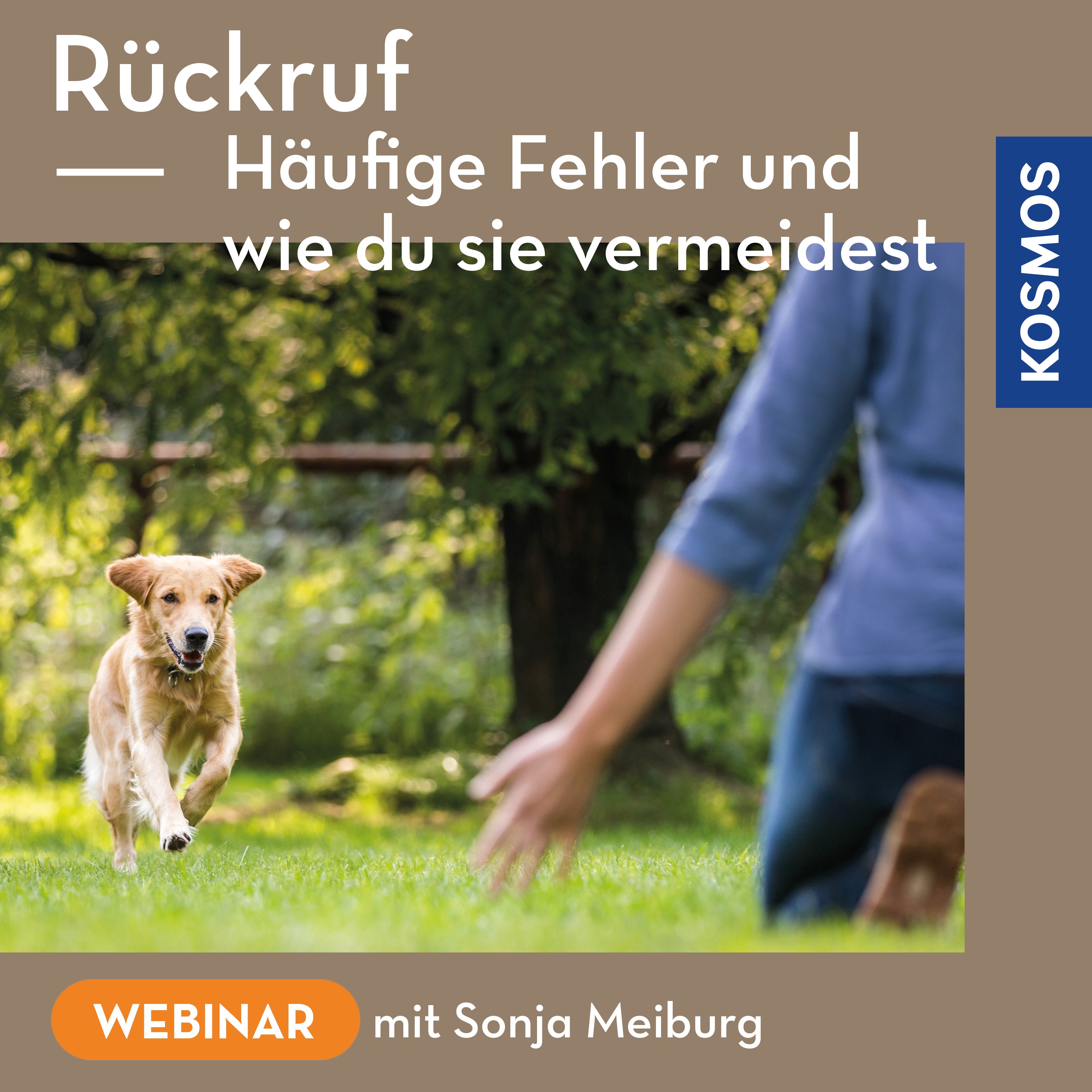 Rückruf – Häufige Fehler und wie du sie vermeidest