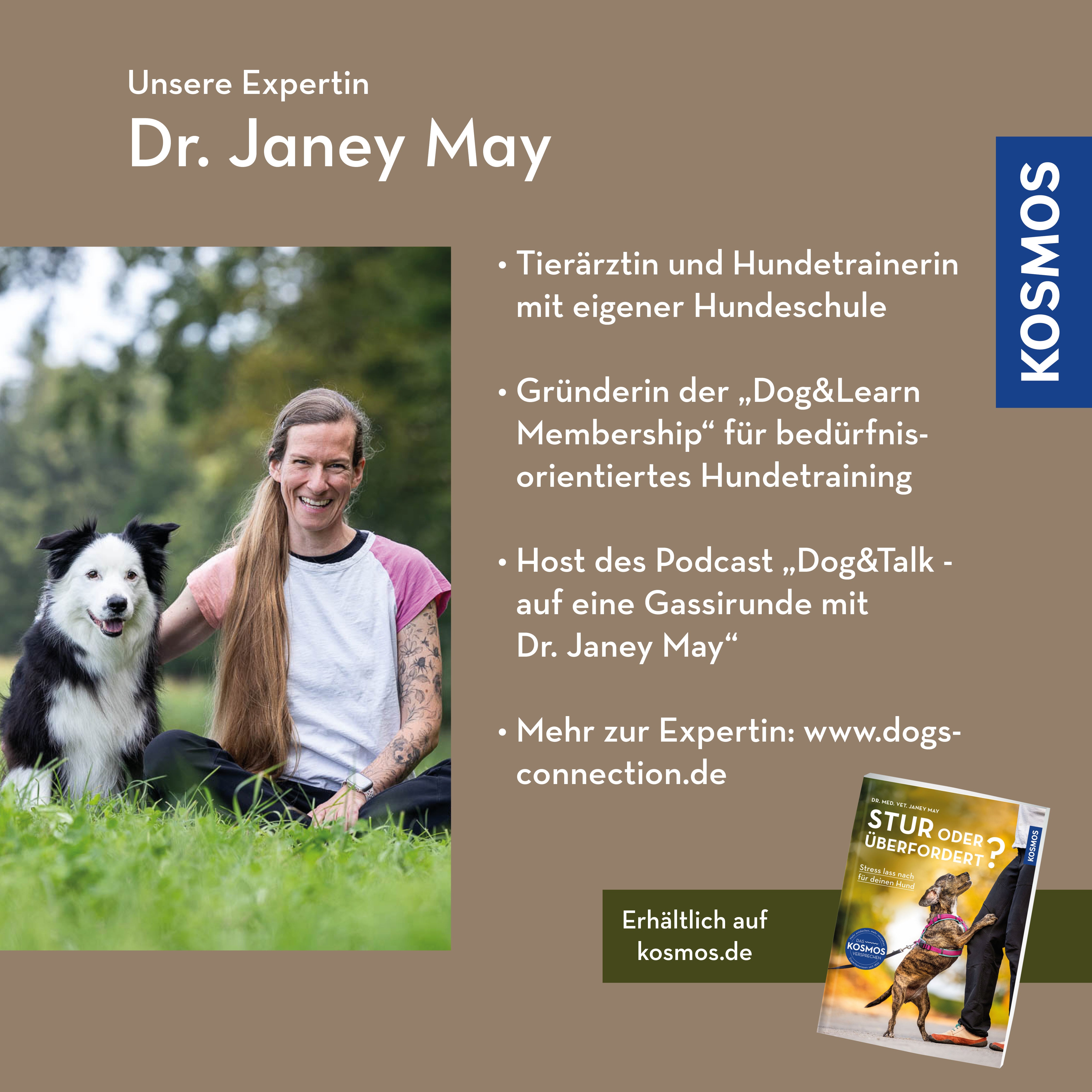 Zwischen Reiz & Reaktion – Stress verstehen