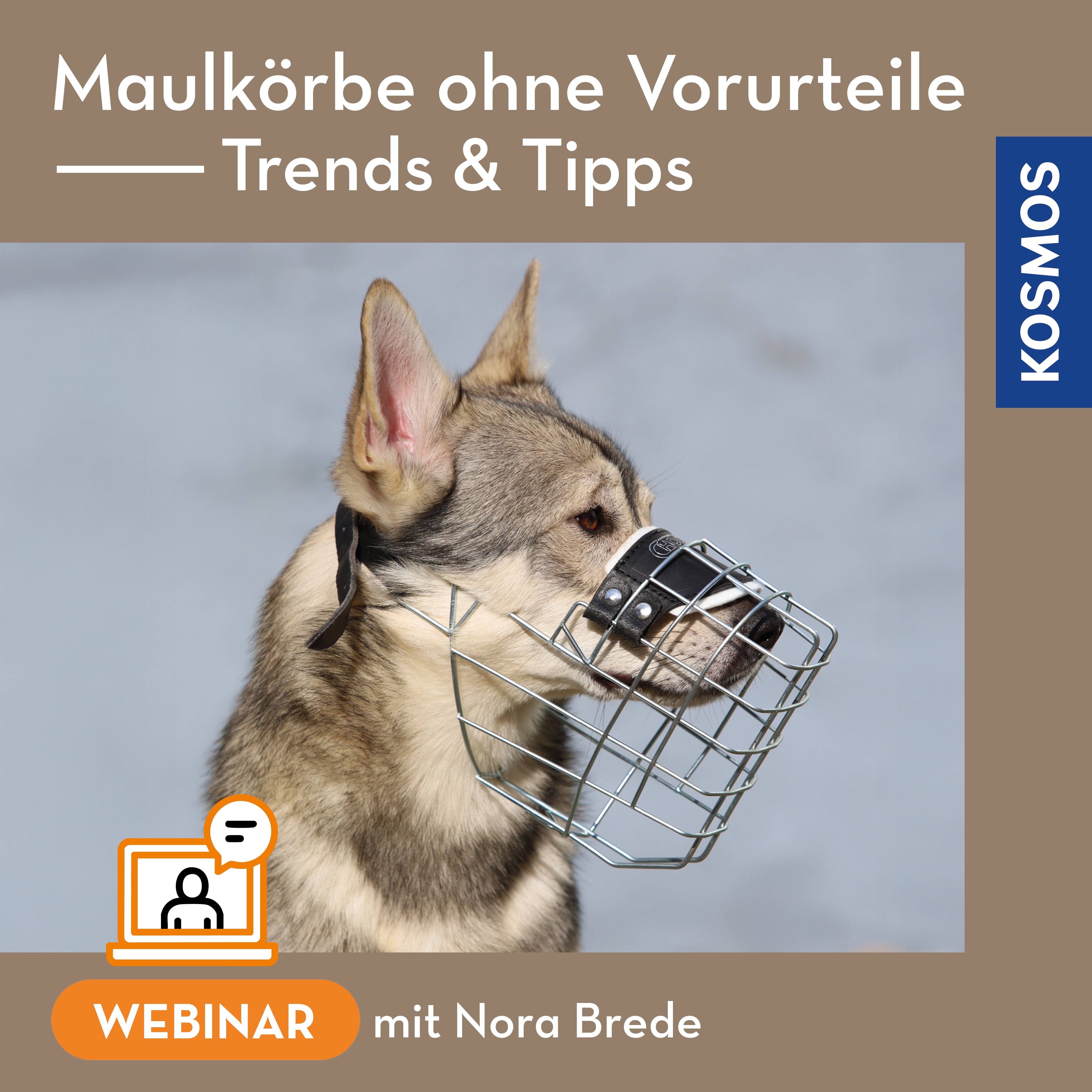 Maulkörbe ohne Vorurteile – Trends & Tipps