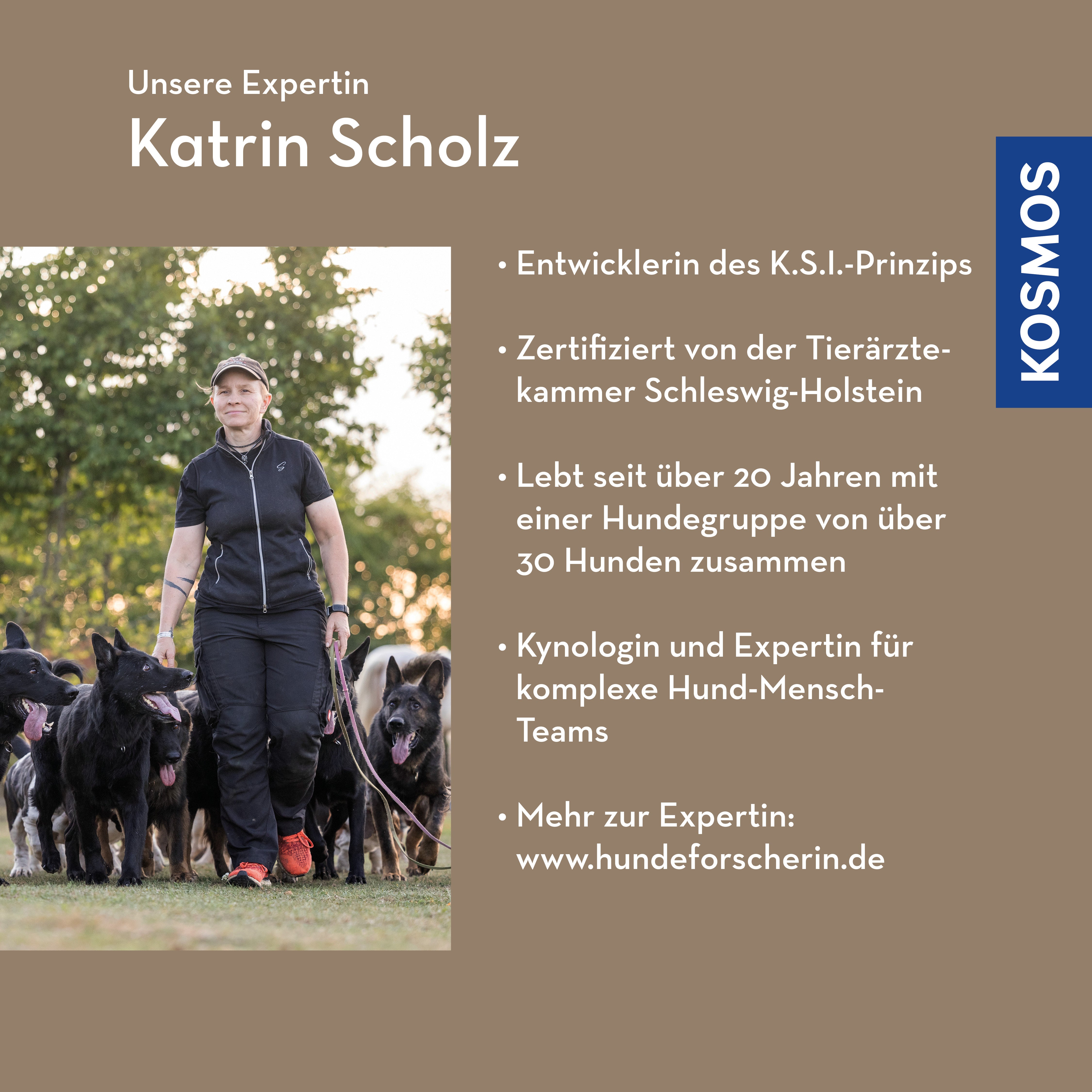 Hund-Mensch-Gespräche – Hund spricht Mensch sollte verstehen