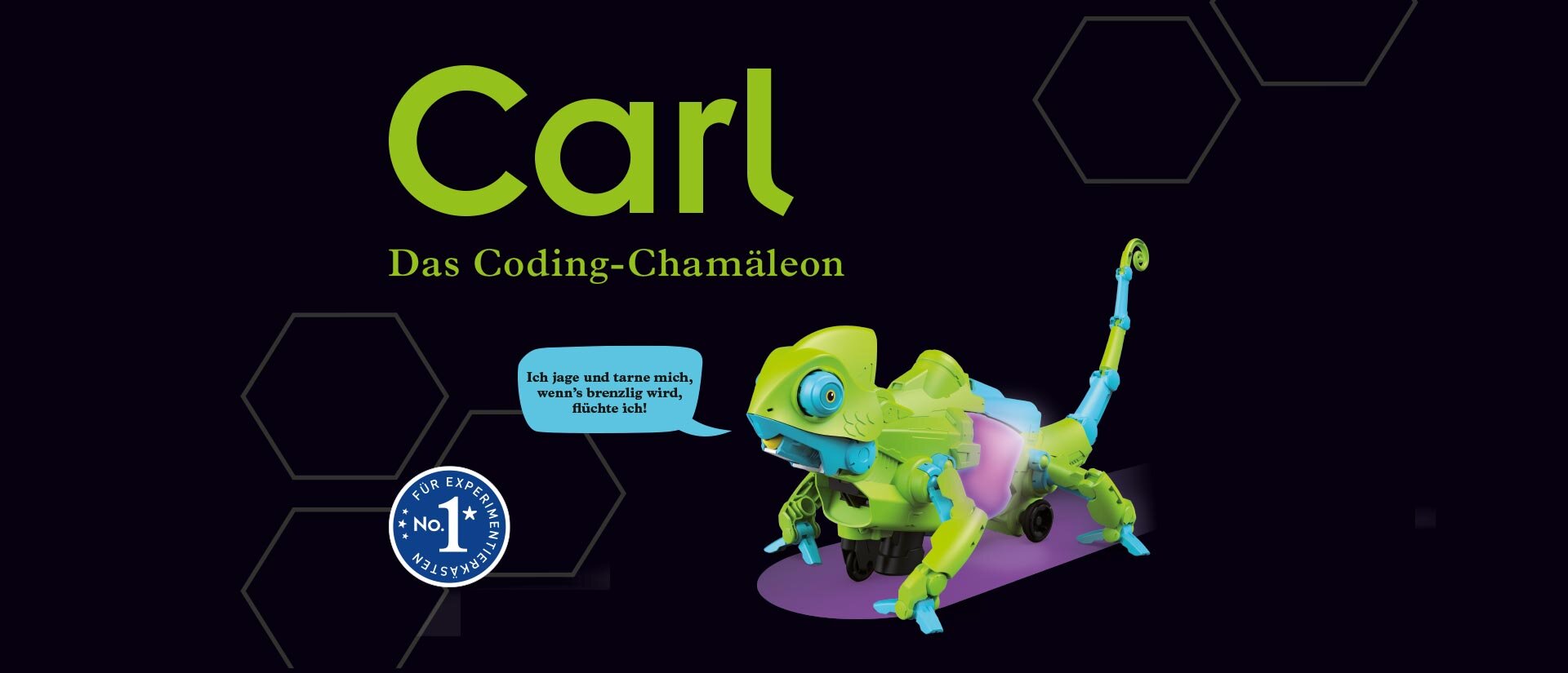 Carl - Das Coding-Chamäeleon