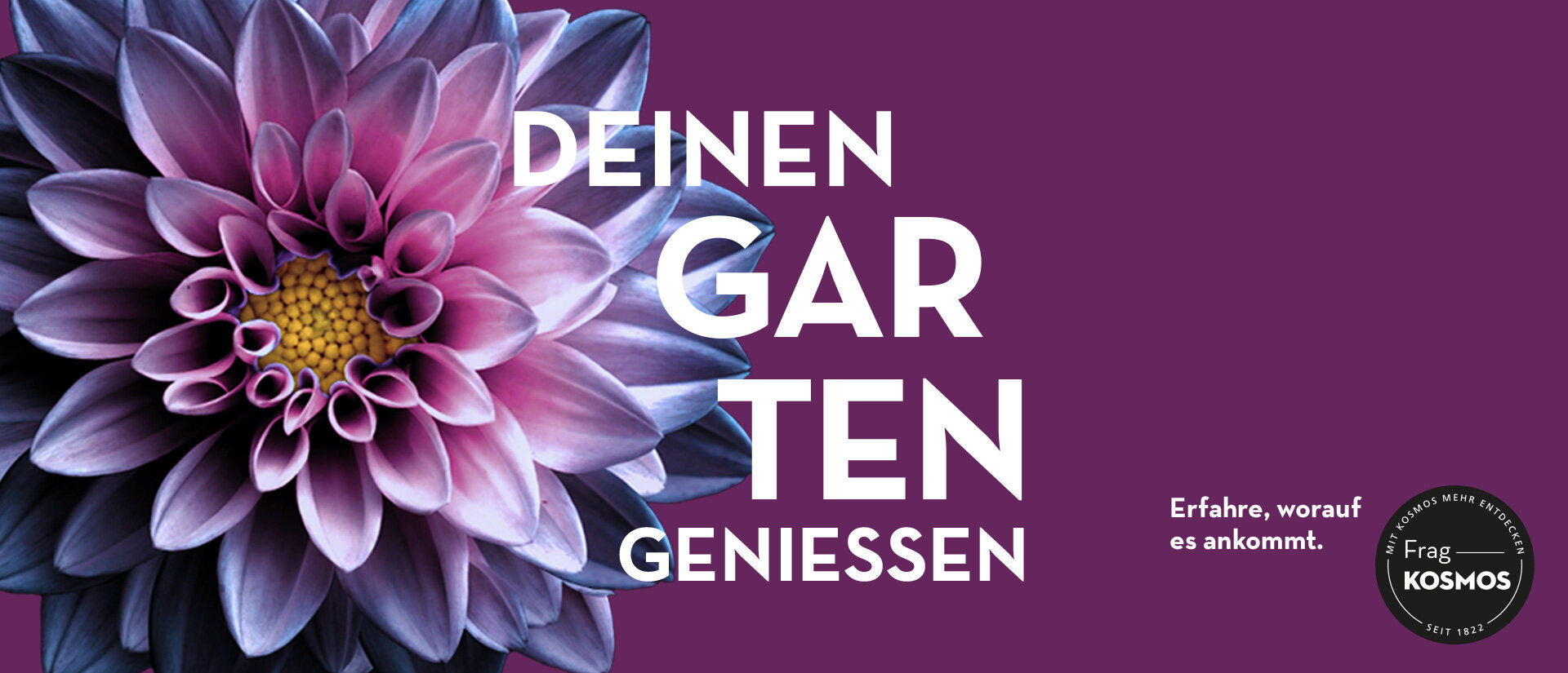 FRISCHE IDEEN FÜR DEINEN GARTEN