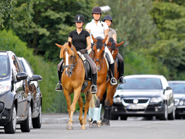 VORSICHT STRASSENVERKEHR