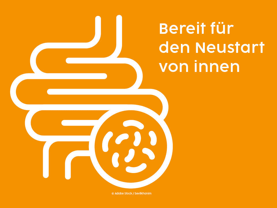 Darmgesundheit – Die Basis für Wohlbefinden und Lebensqualität