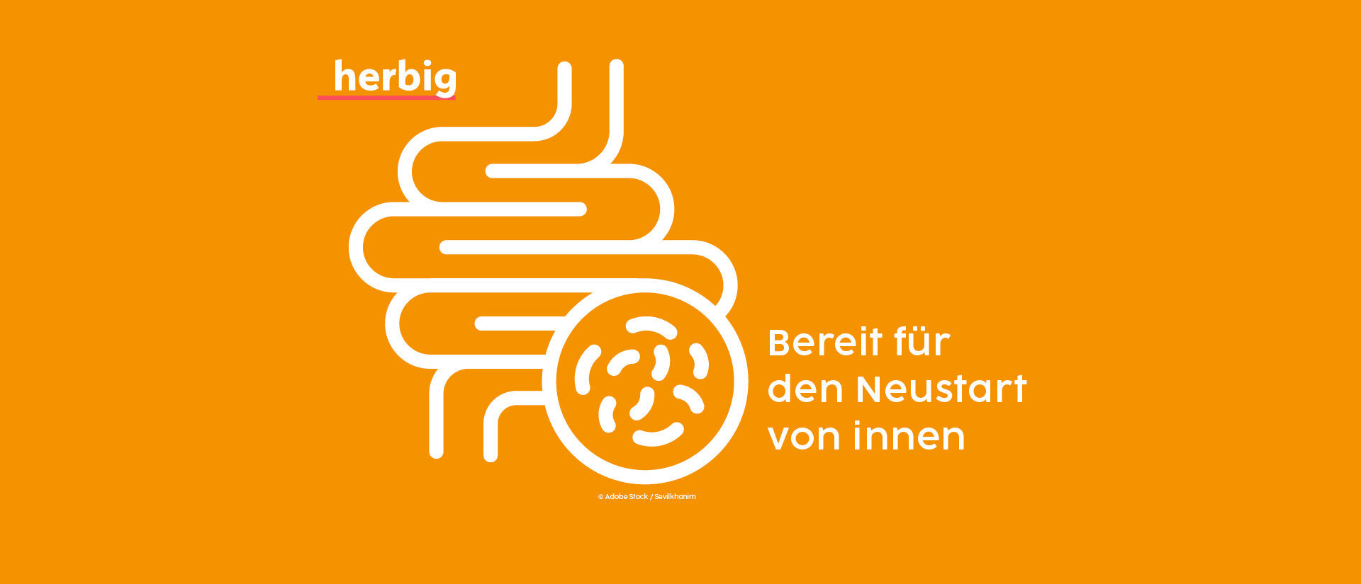 DIE BASIS FÜR WOHLBEFINDEN UND LEBENSQUALITÄT