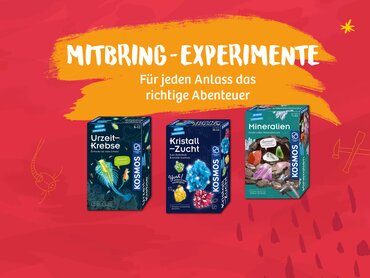 Experimente zum Mitbringen