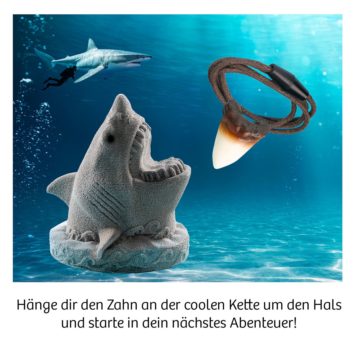 Ausgrabung Haizahn