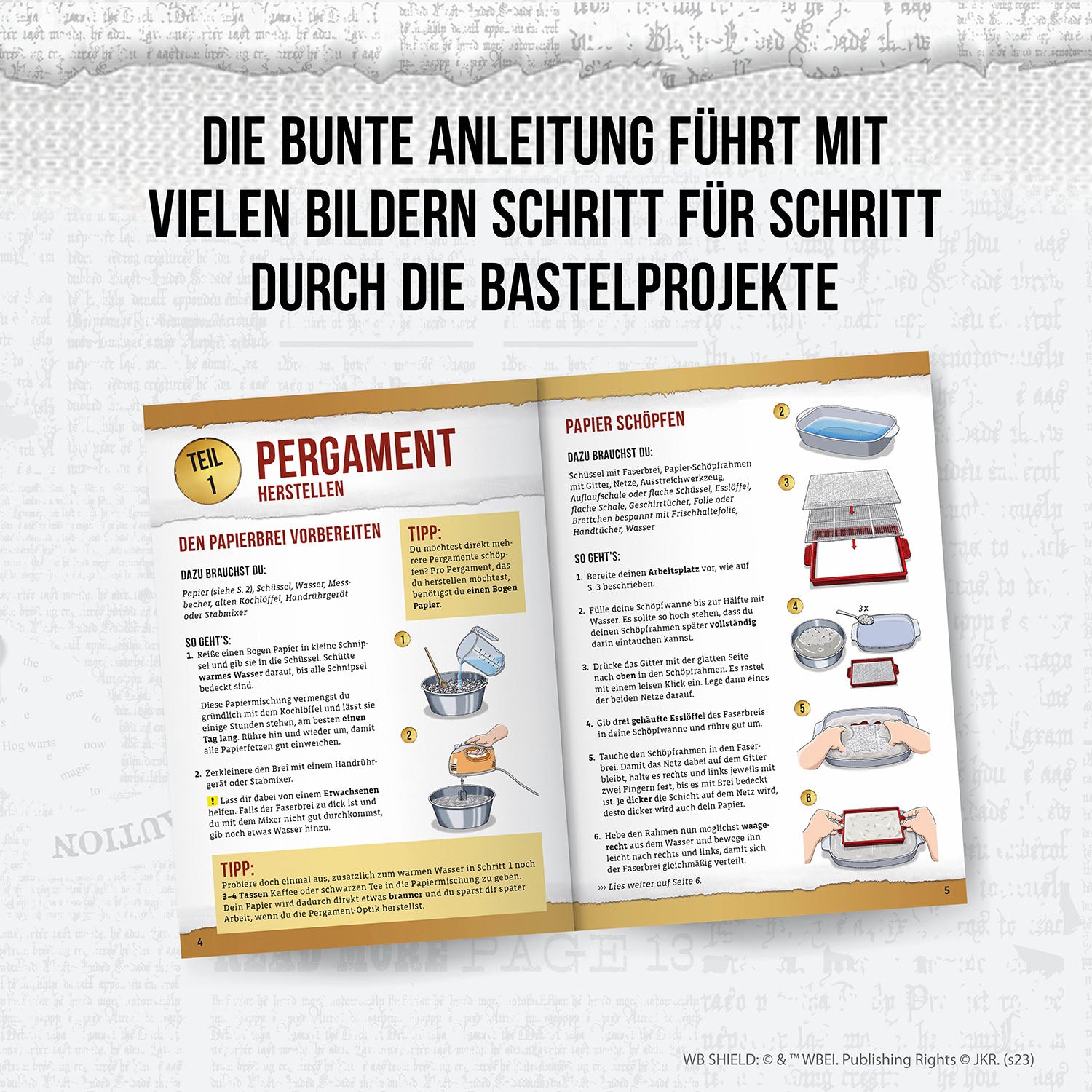 Harry Potter - Brief & Siegel