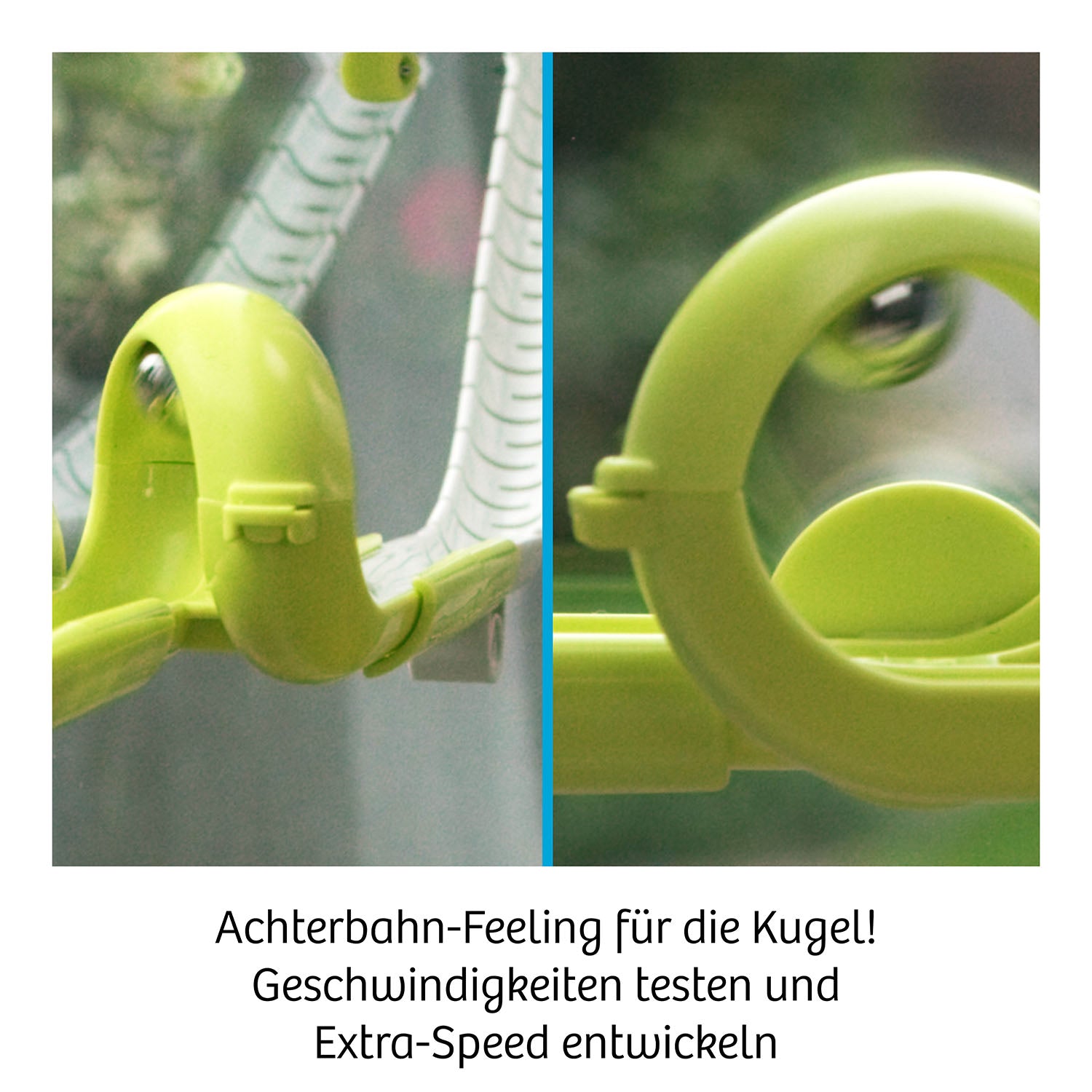 Gecko Run, Looping