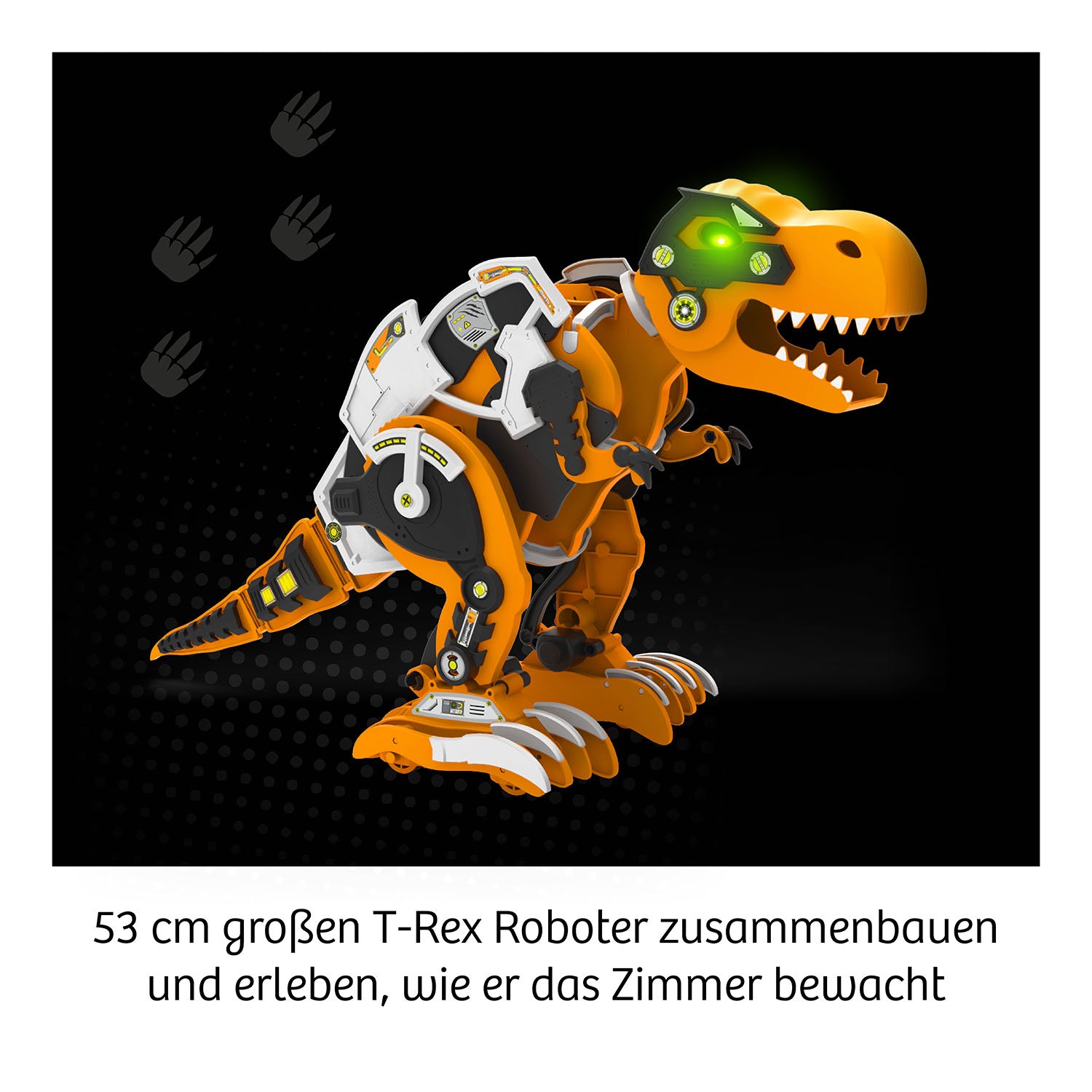 Rex