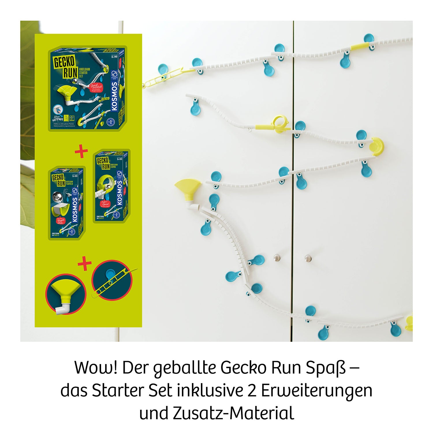 Gecko Run, Big Box