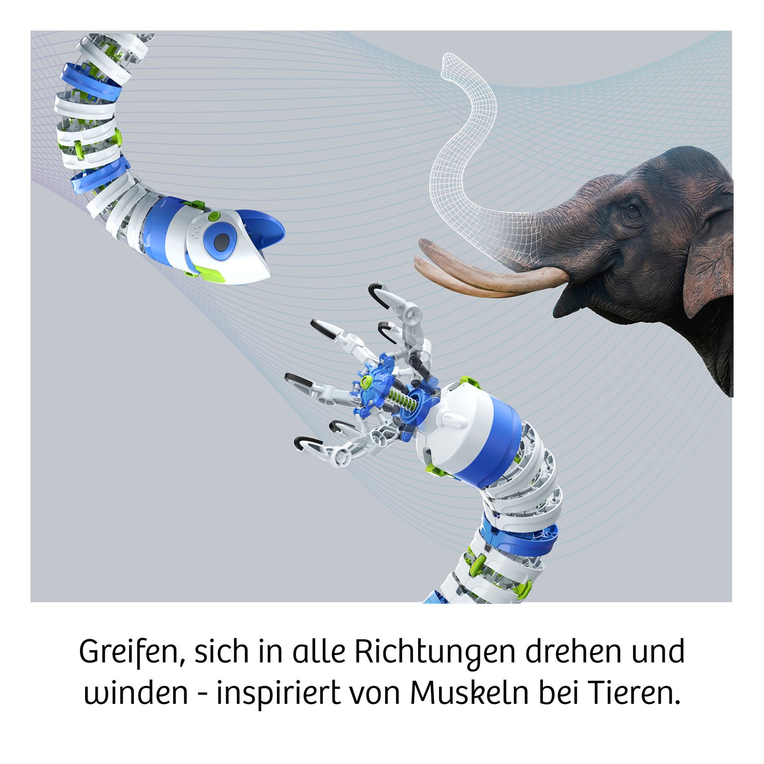 Bionic Robotic Arm
