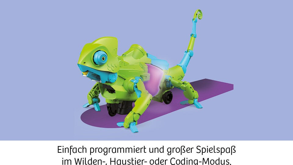 Farbcodes verstehen und Technik erleben