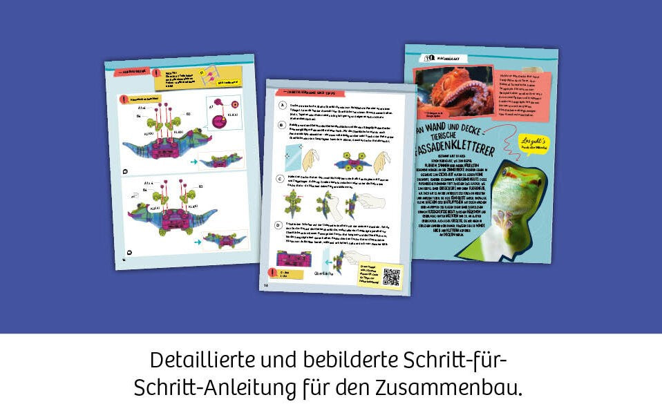 Schritt-für-Schritt- Anleitung mit farbigen Illustrationen