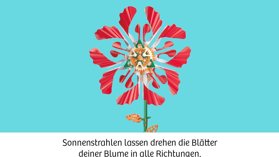 Wenn Sonnenlicht Blüten bewegt