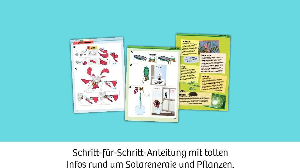 Schritt für Schritt zum Erfolgserlebnis