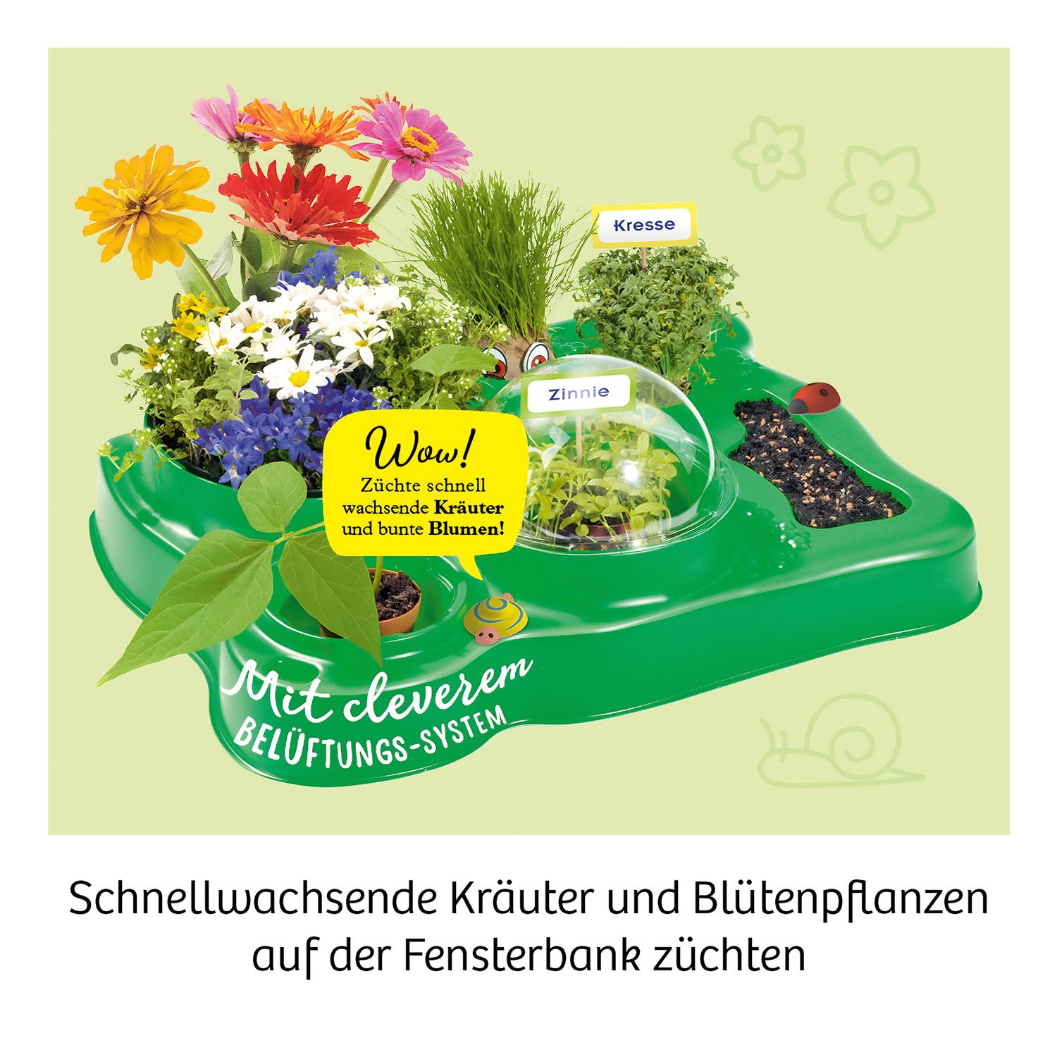 Mein erstes Gewächshaus