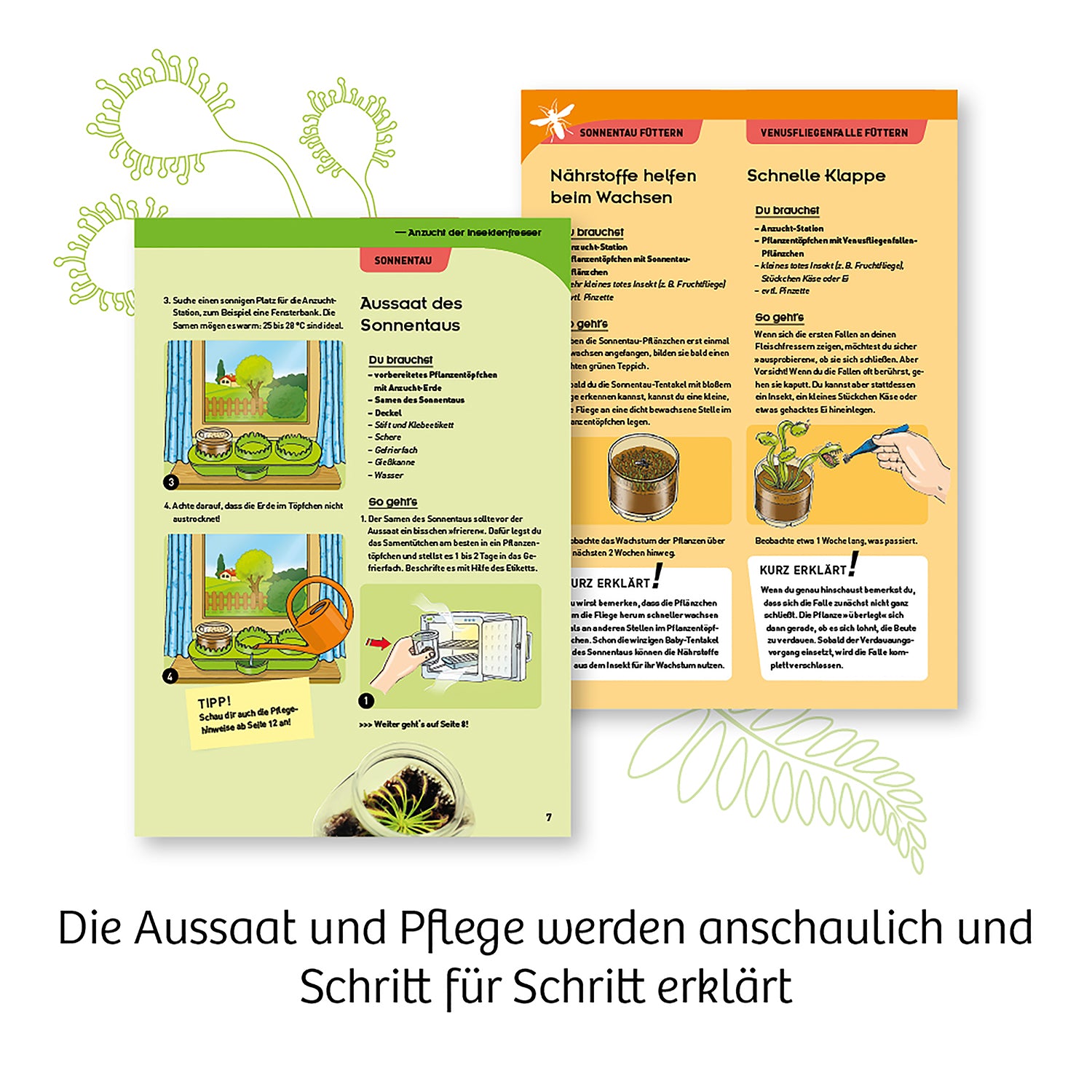 Fleischfressende Pflanzen
